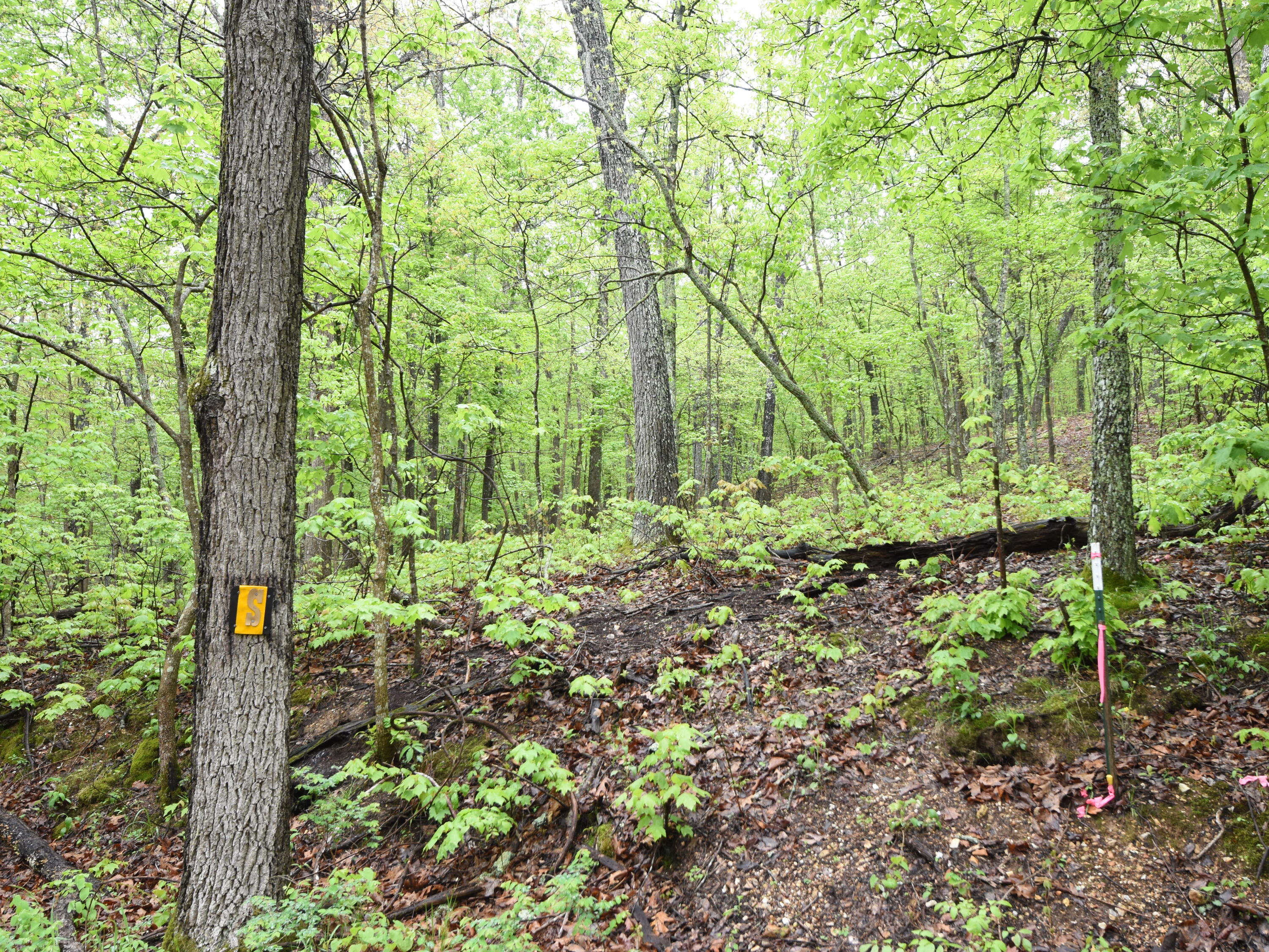 Photo 6 - Land for sale – 000  Highway Y   Elk Creek, MO