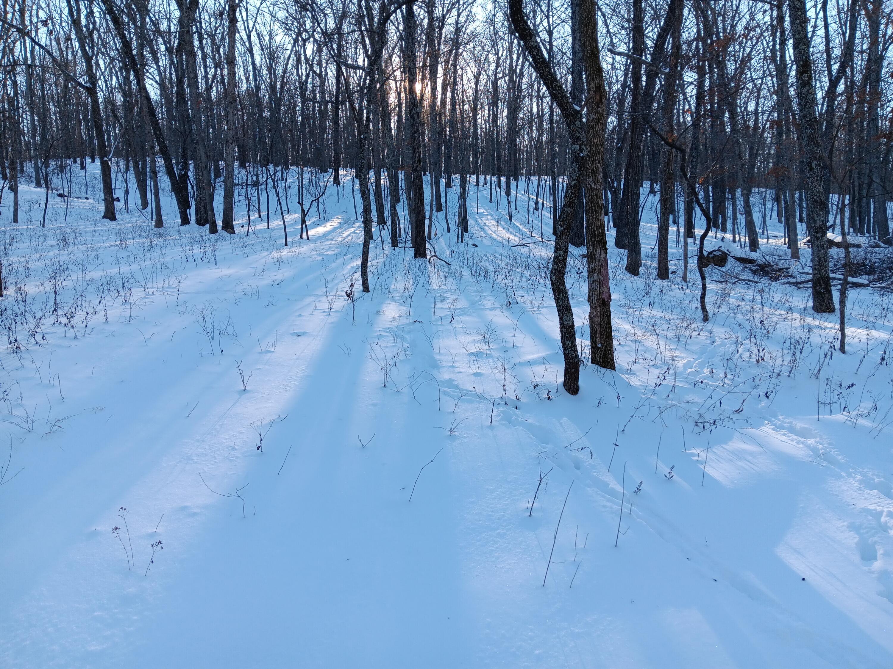 Photo 27 - Land for sale – 000  Highway Y   Elk Creek, MO