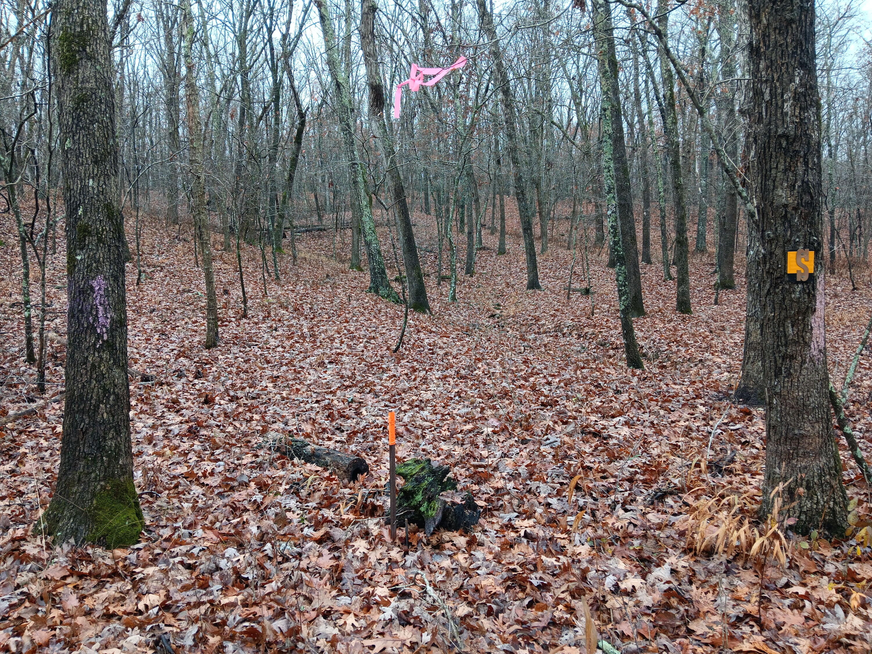 Photo 20 - Land for sale – 000  Highway Y   Elk Creek, MO