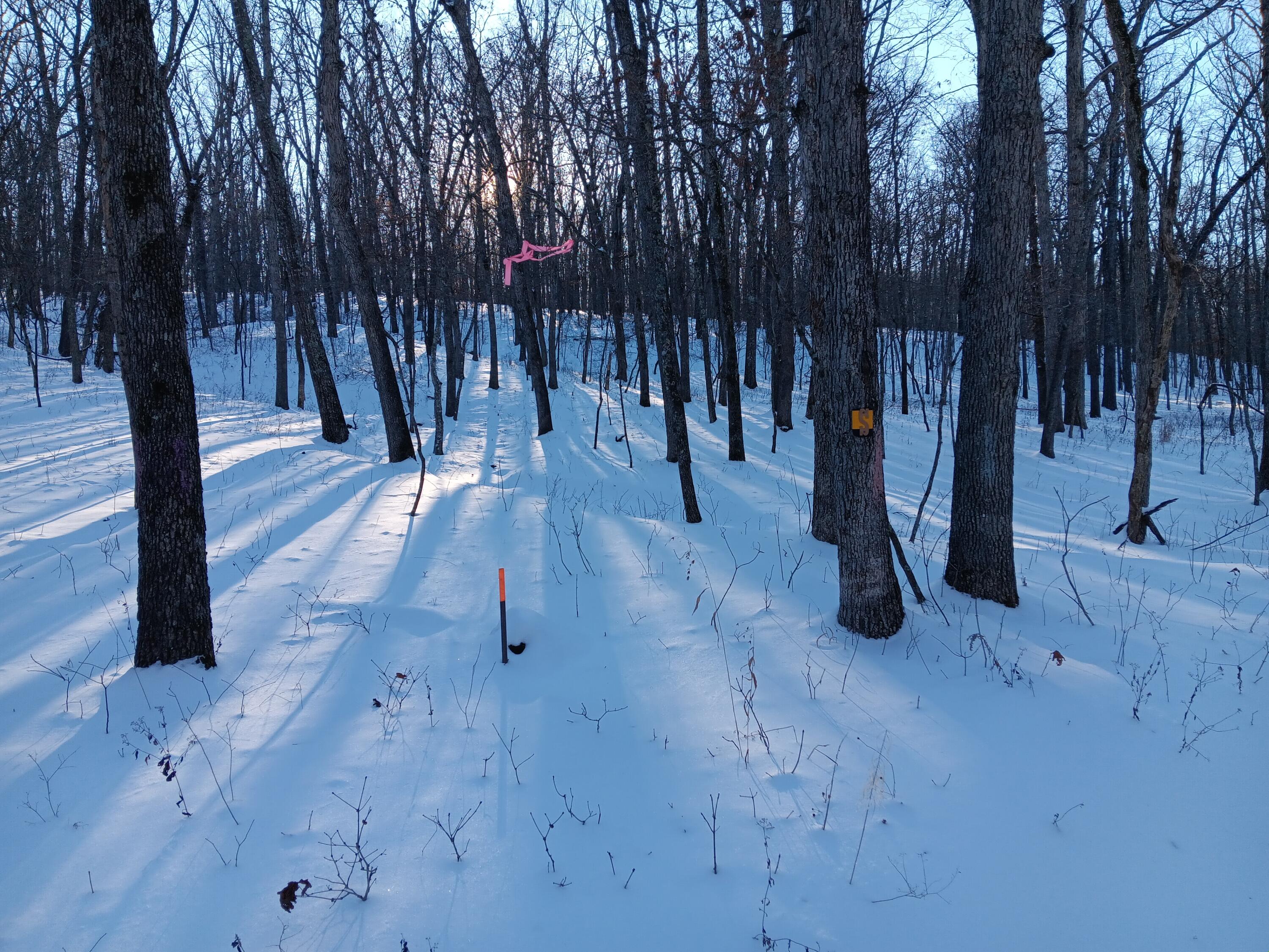 Photo 28 - Land for sale – 000  Highway Y   Elk Creek, MO