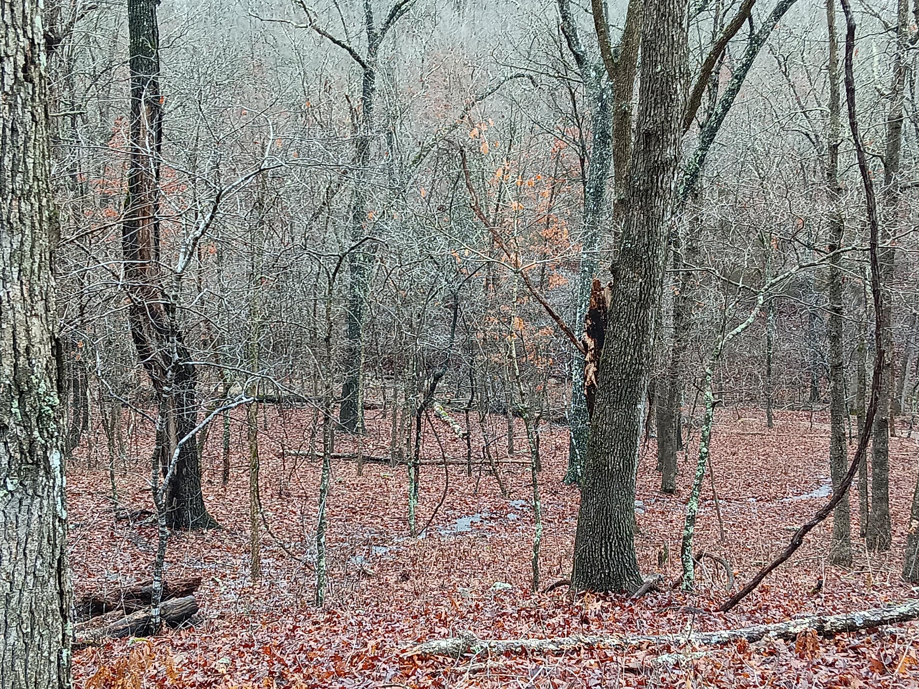 Photo 24 - Land for sale – 000  Highway Y   Elk Creek, MO
