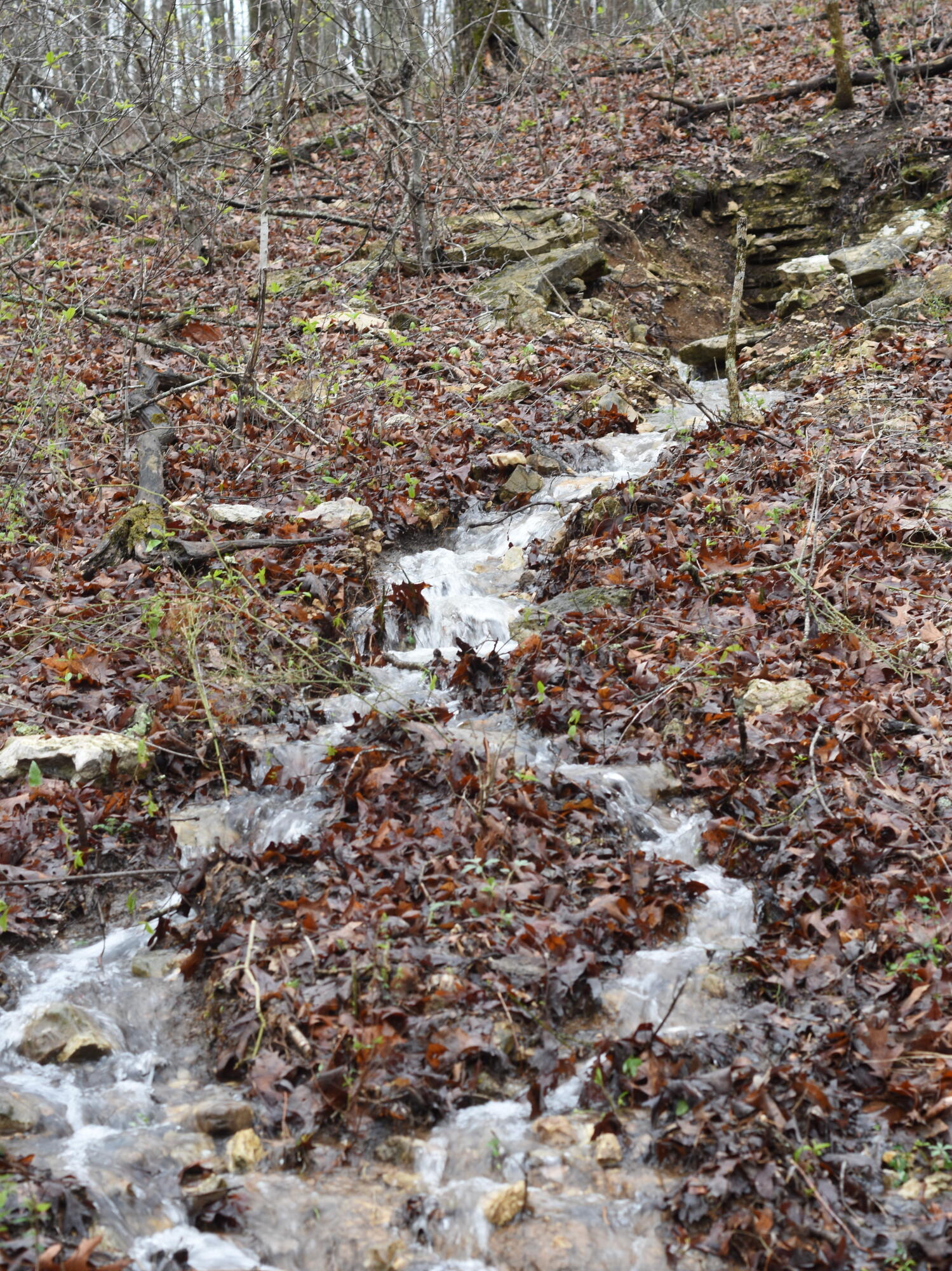 Land for sale – 000  Highway Y   Elk Creek, MO