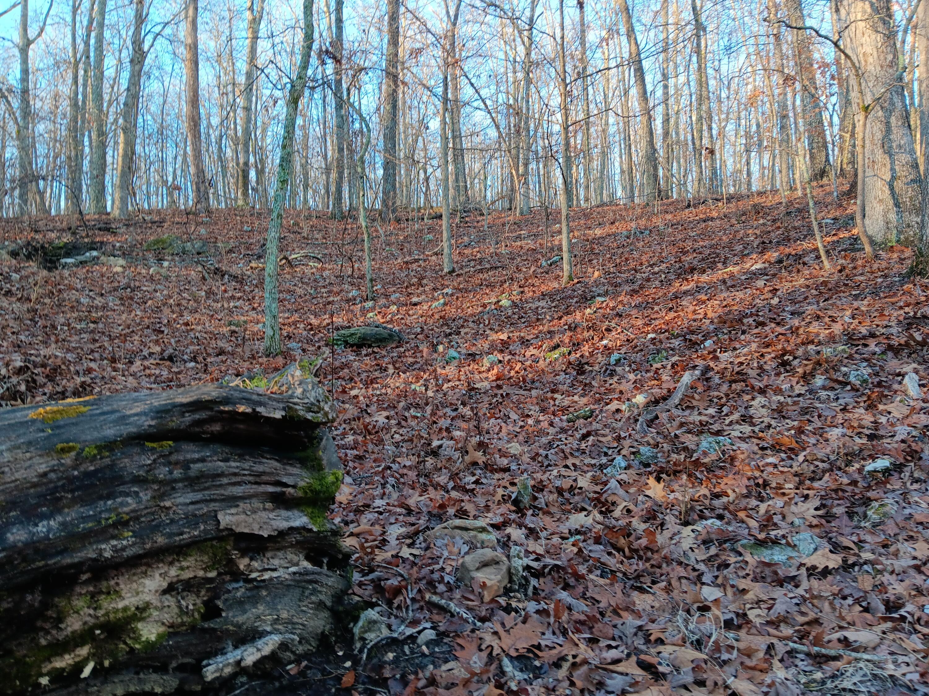 Photo 23 - Land for sale – 000  Highway Y   Elk Creek, MO