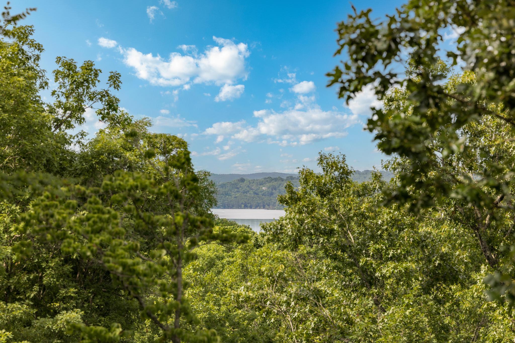 Photo 60 - Land for sale – 225  Cory's Trail   Theodosia, MO