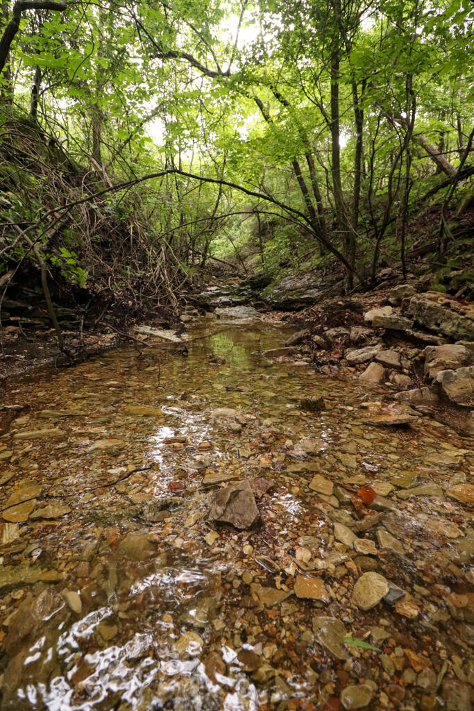 Photo 77 - Land for sale – 225  Cory's Trail   Theodosia, MO