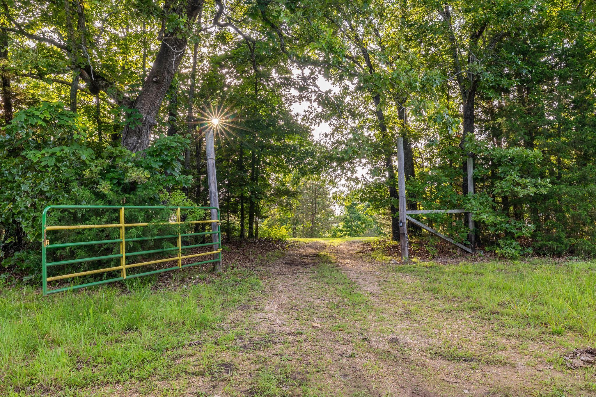 Photo 93 - Land for sale – 225  Cory's Trail   Theodosia, MO