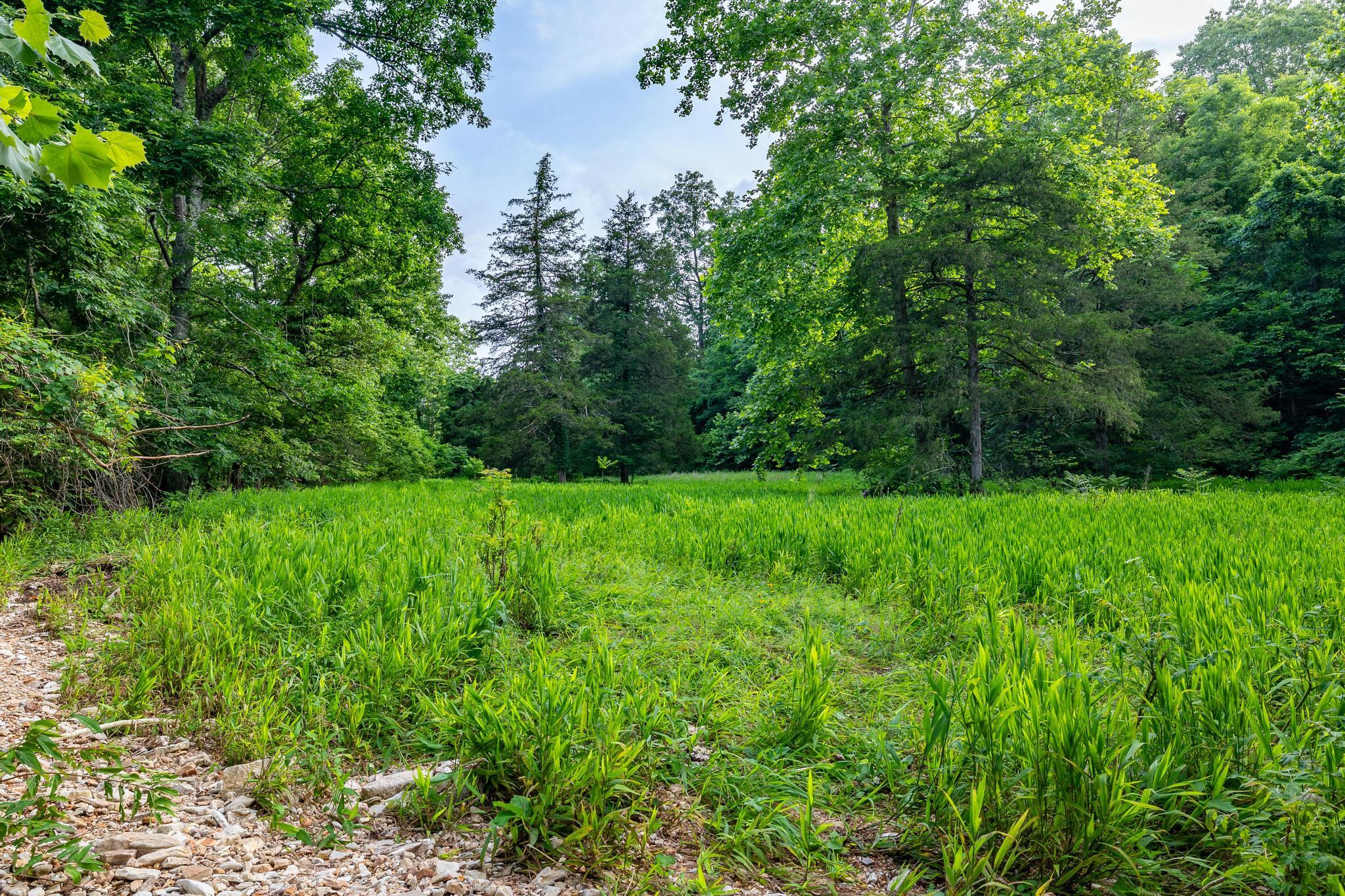 Photo 75 - Land for sale – 225  Cory's Trail   Theodosia, MO