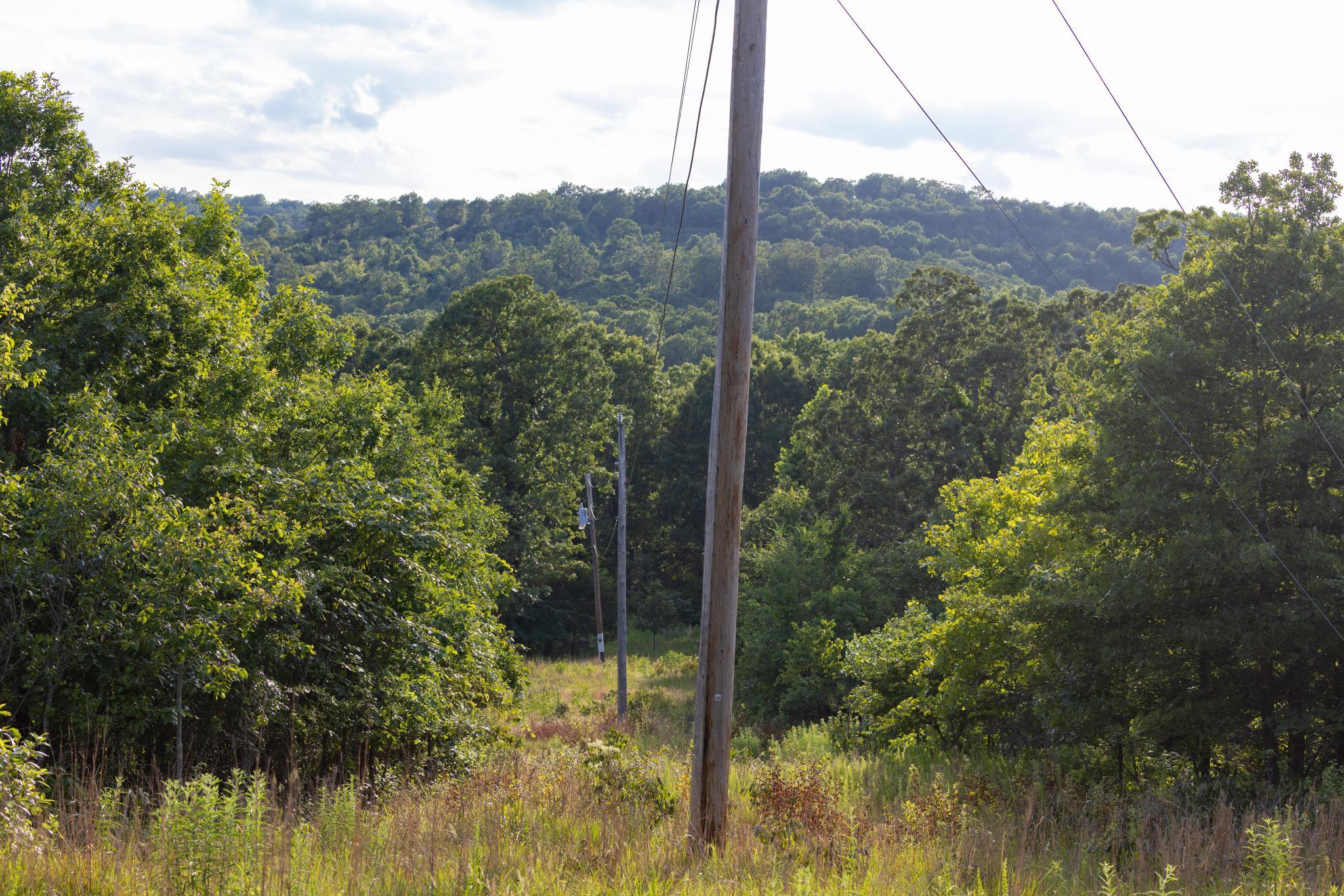 Photo 107 - Land for sale – 225  Cory's Trail   Theodosia, MO