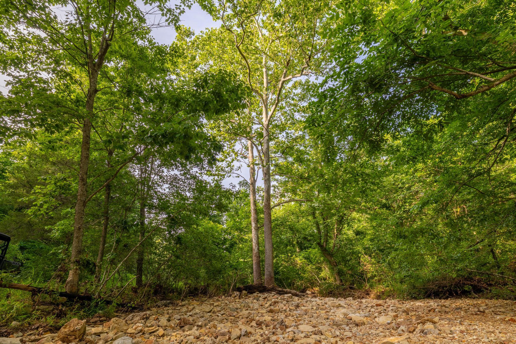 Photo 82 - Land for sale – 225  Cory's Trail   Theodosia, MO