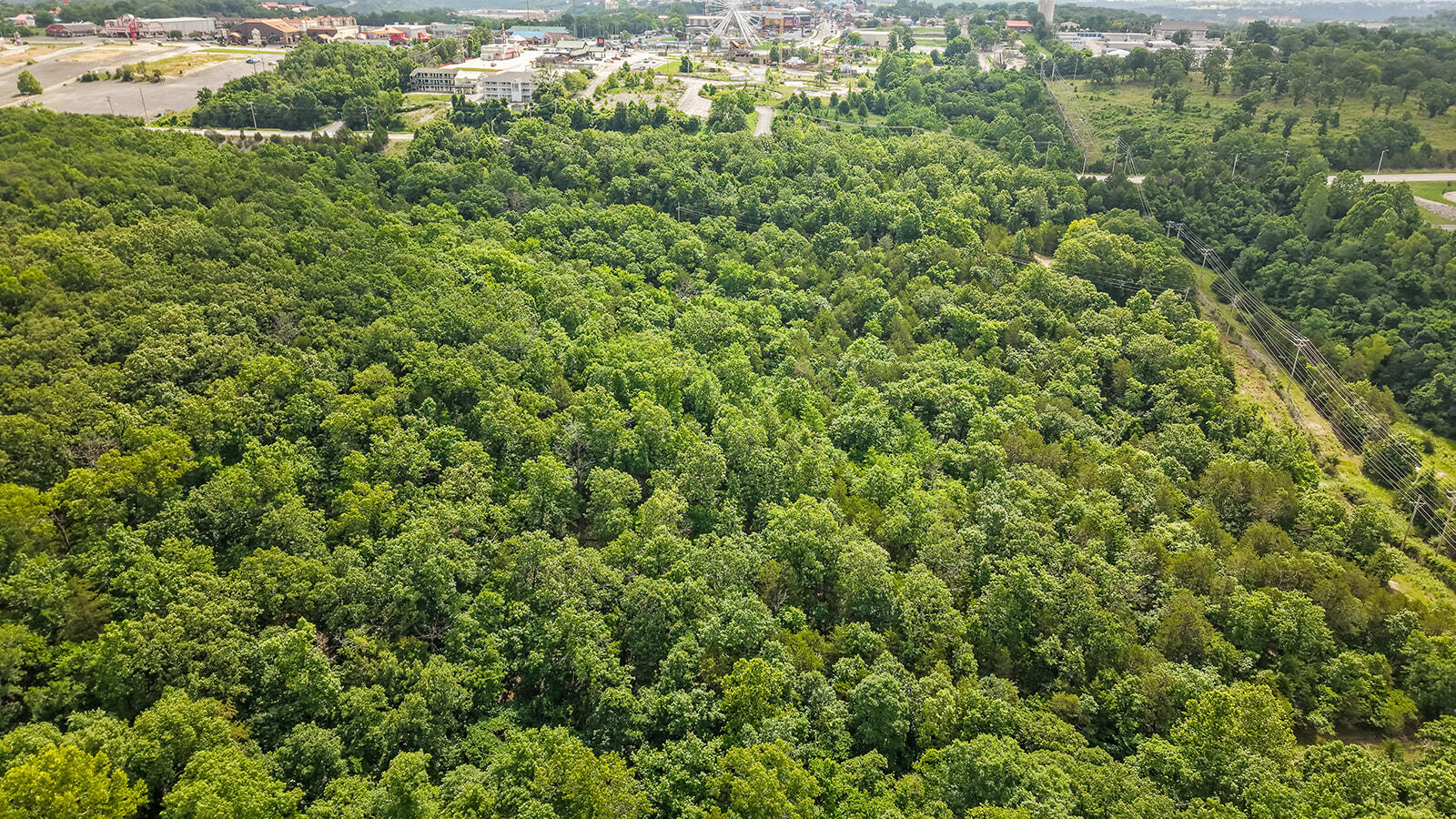 Photo 12 - Land for sale – 000  Green Mountian Drive  Branson, MO