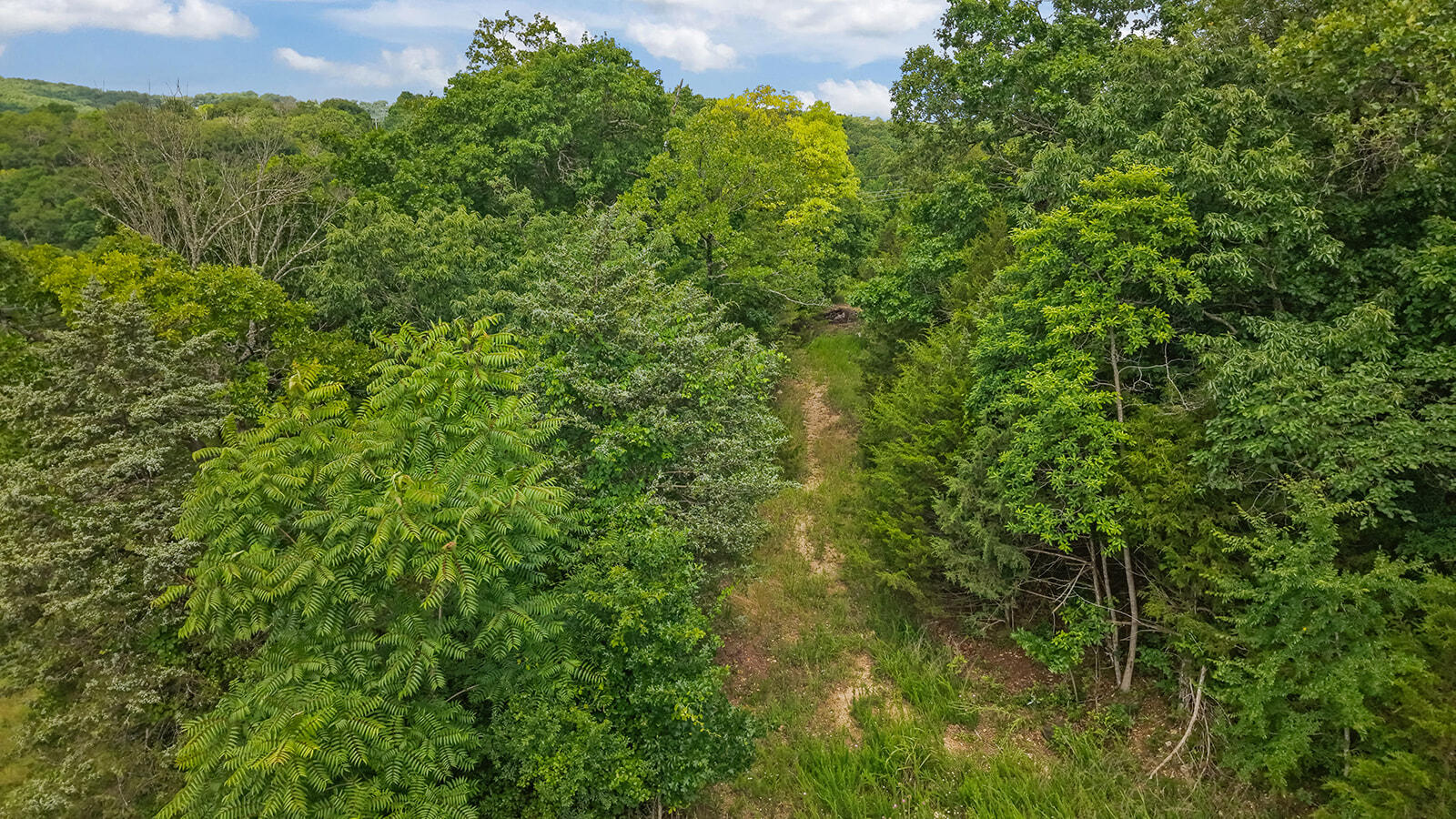 Photo 11 - Land for sale – 000  Green Mountian Drive  Branson, MO