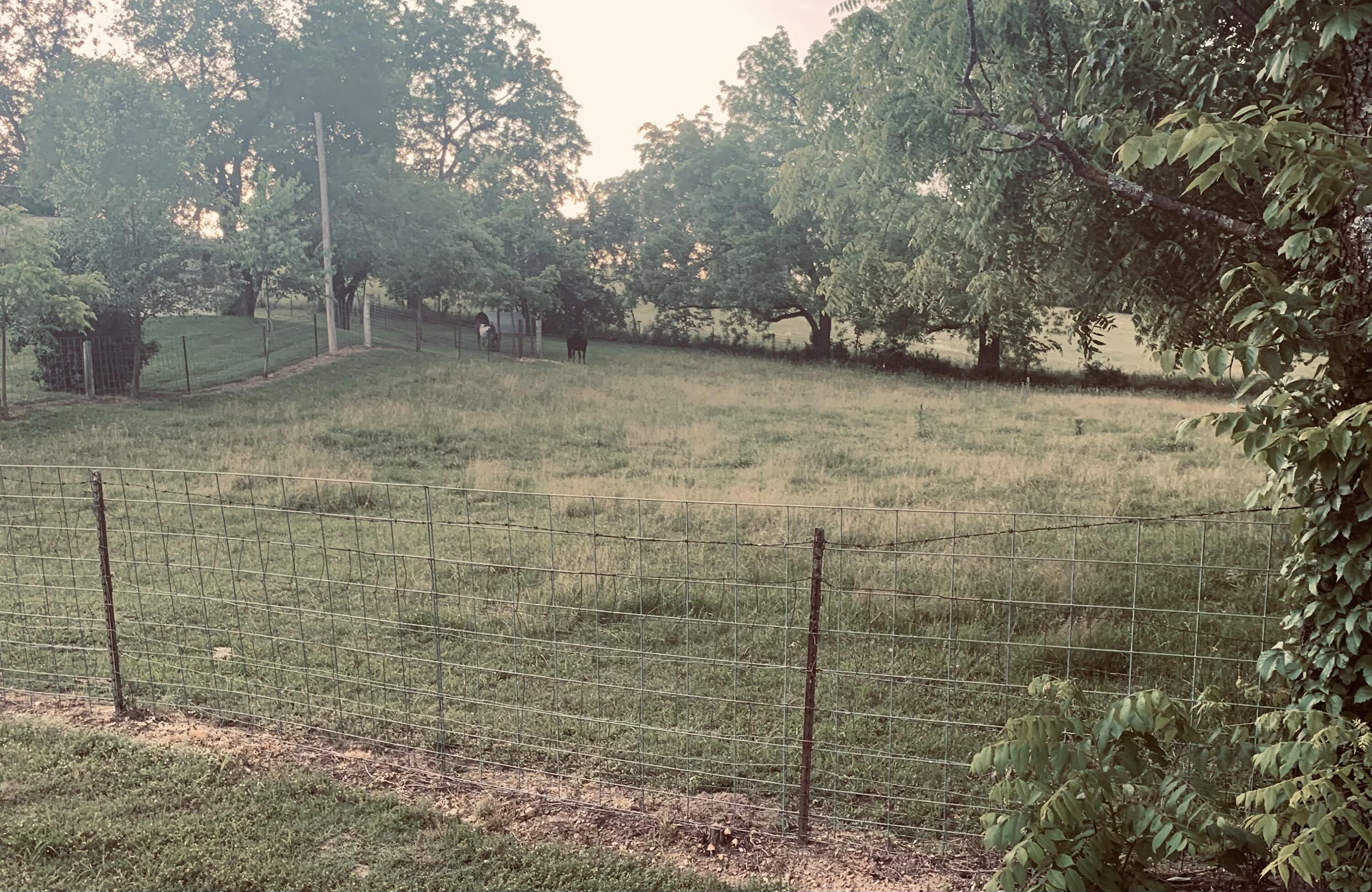 Photo 30 - Residential for sale – 8675 S State Highway 5   Ava, MO
