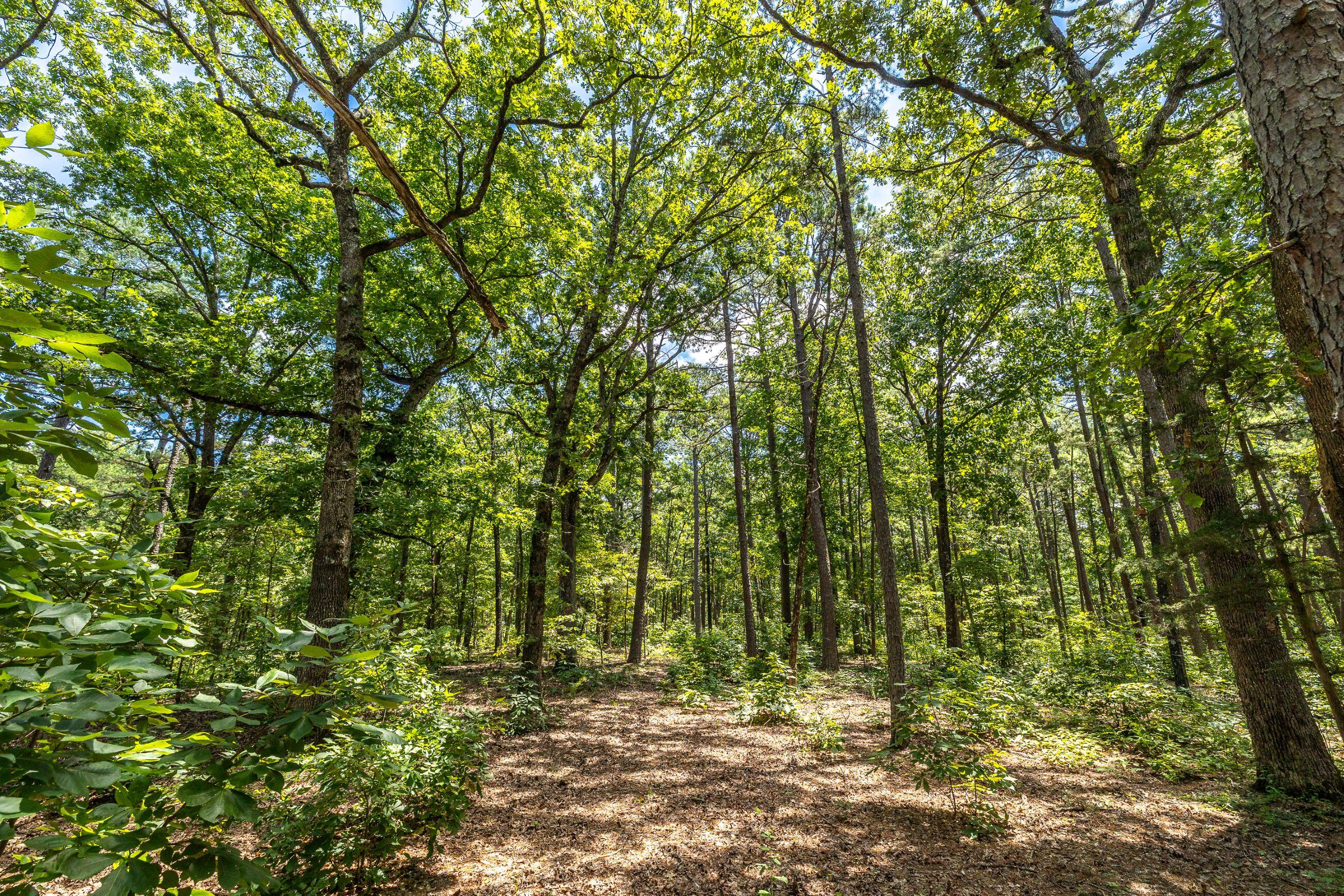 Photo 51 - Farm for sale – 11545  Slaughter Road  Licking, MO