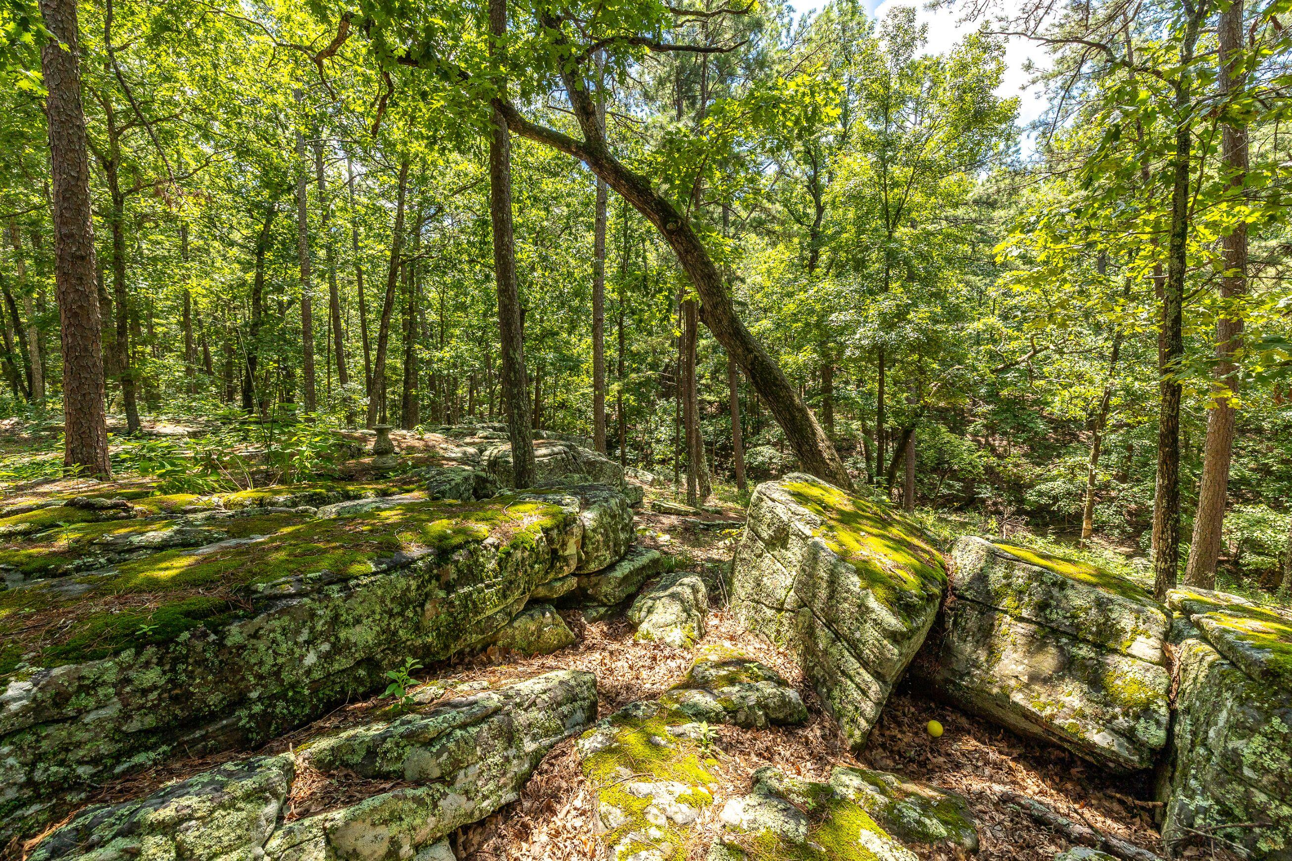 Photo 13 - Farm for sale – 11545  Slaughter Road  Licking, MO