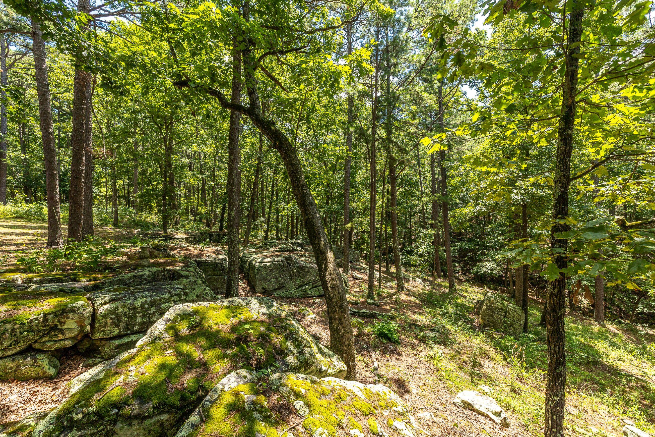 Photo 14 - Farm for sale – 11545  Slaughter Road  Licking, MO