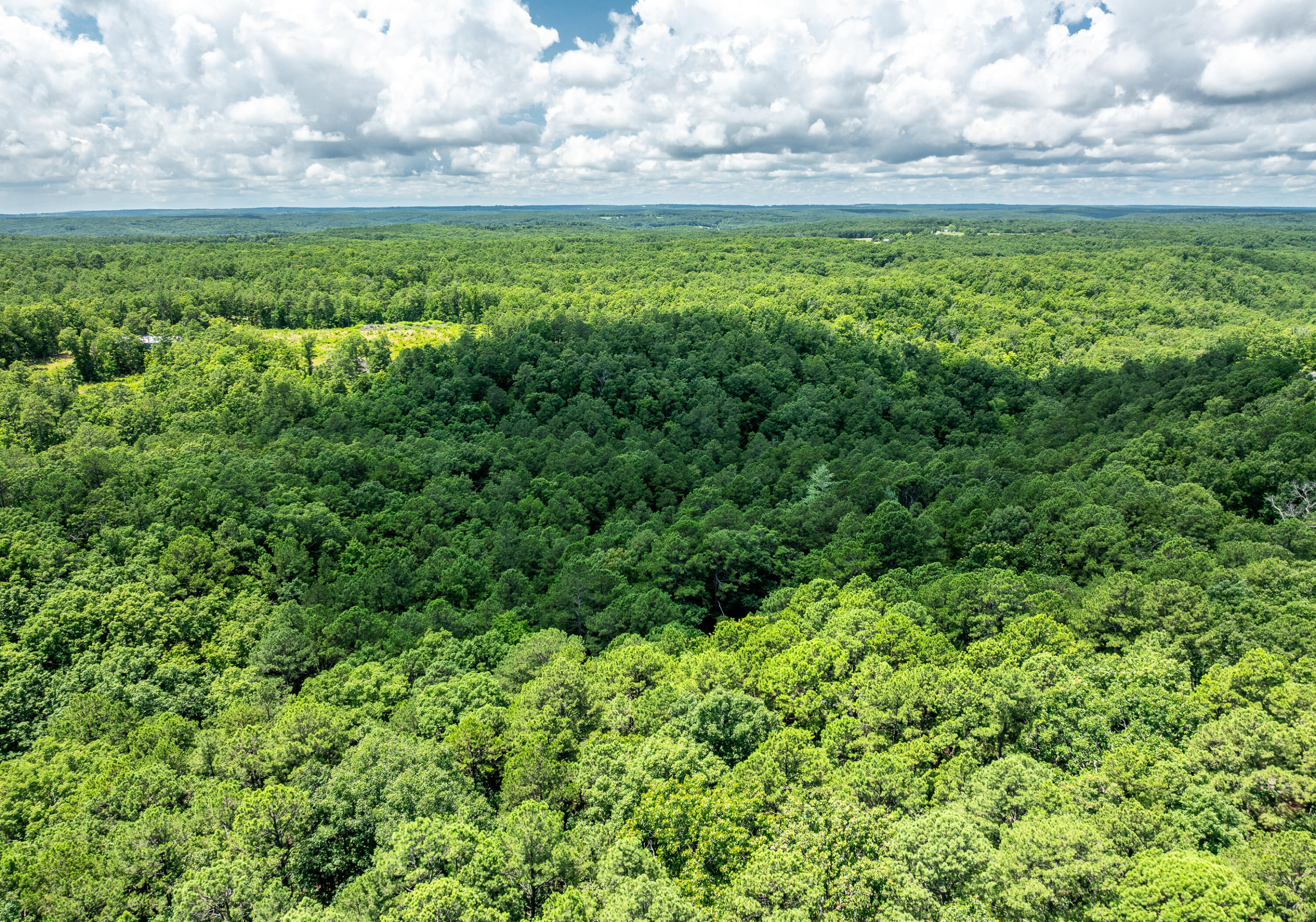 Photo 50 - Farm for sale – 11545  Slaughter Road  Licking, MO