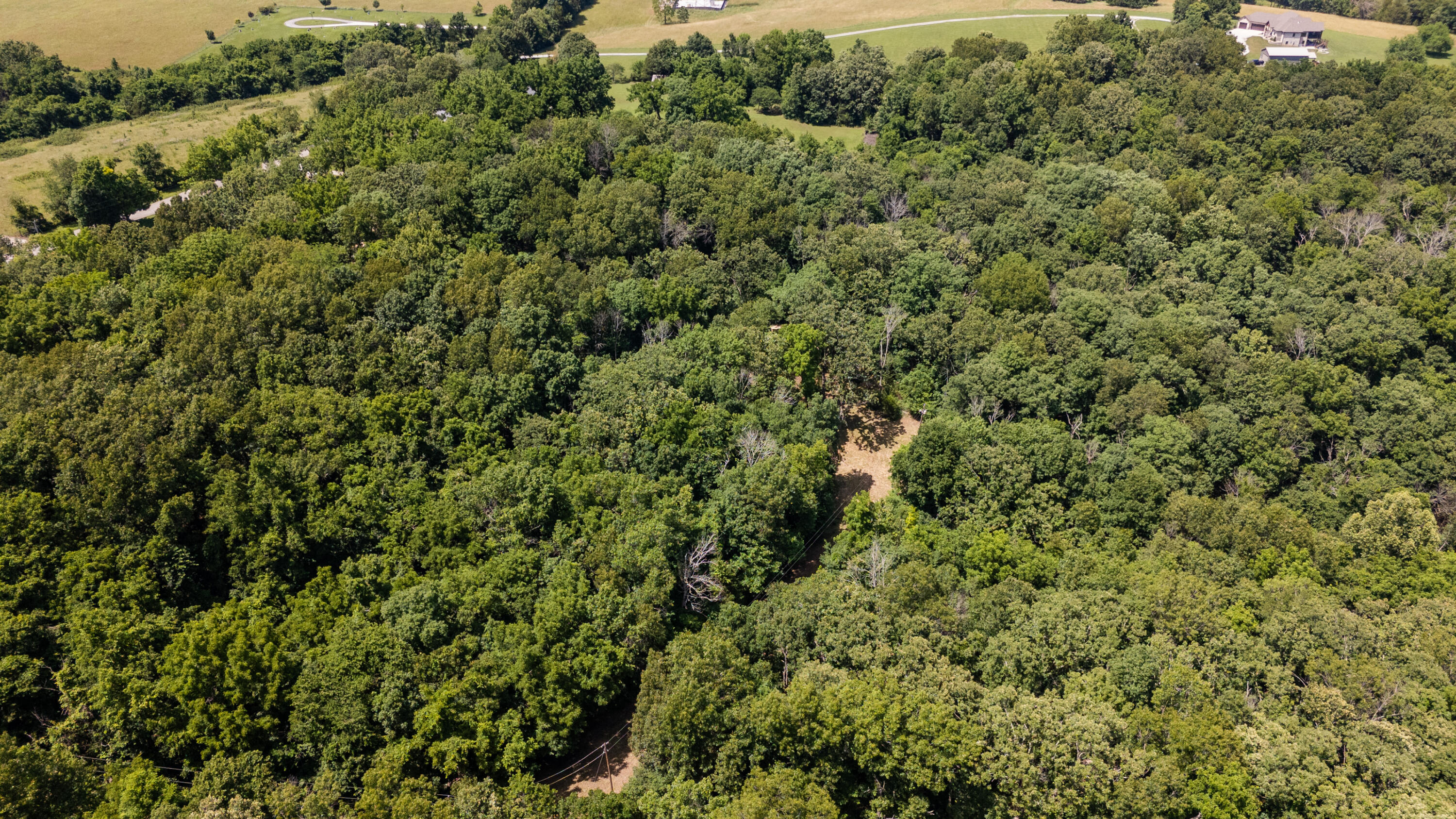 Photo 7 - Land for sale – 1326  Sassafras Lane  Nixa, MO