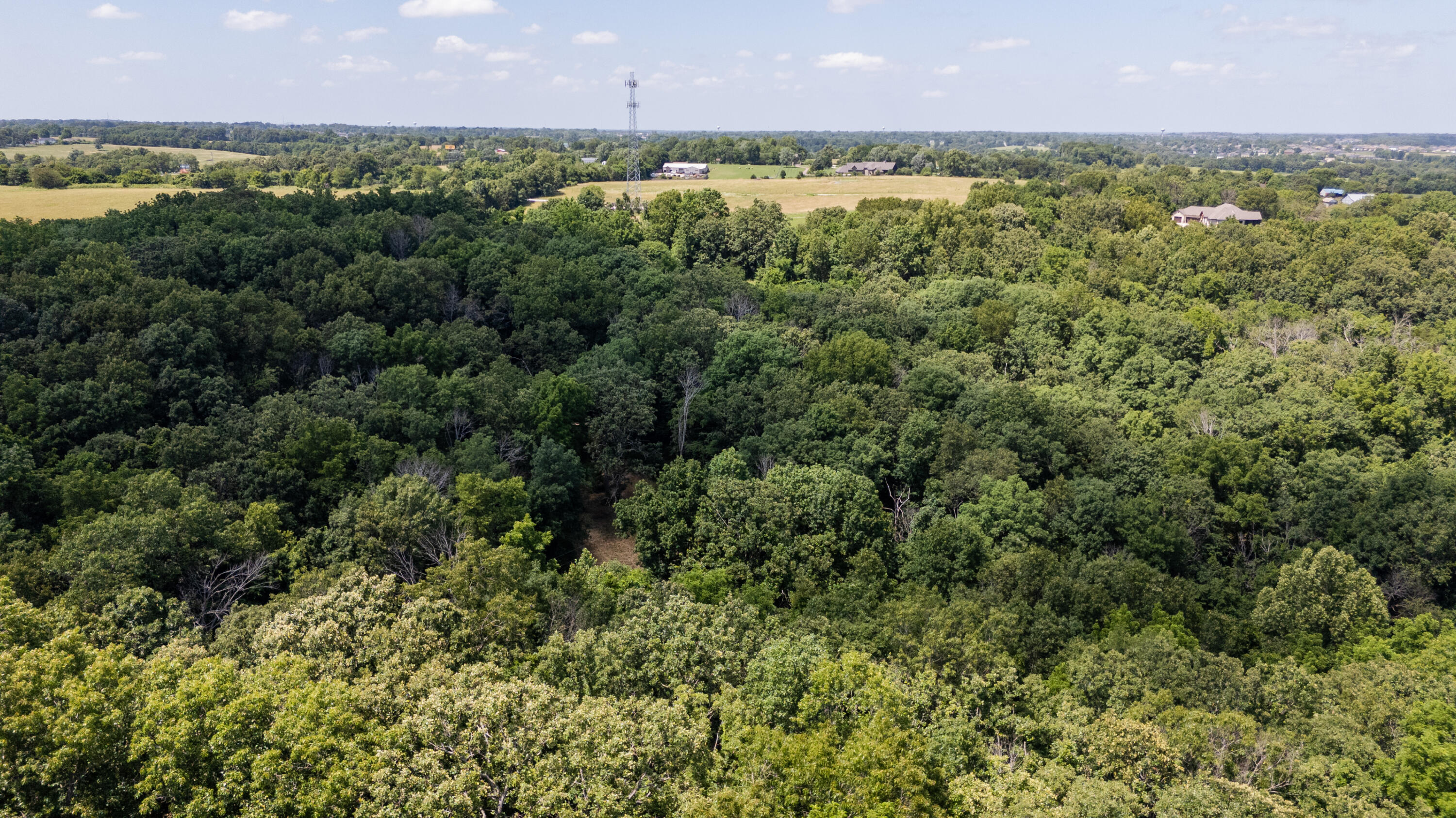 Photo 15 - Land for sale – 1326  Sassafras Lane  Nixa, MO