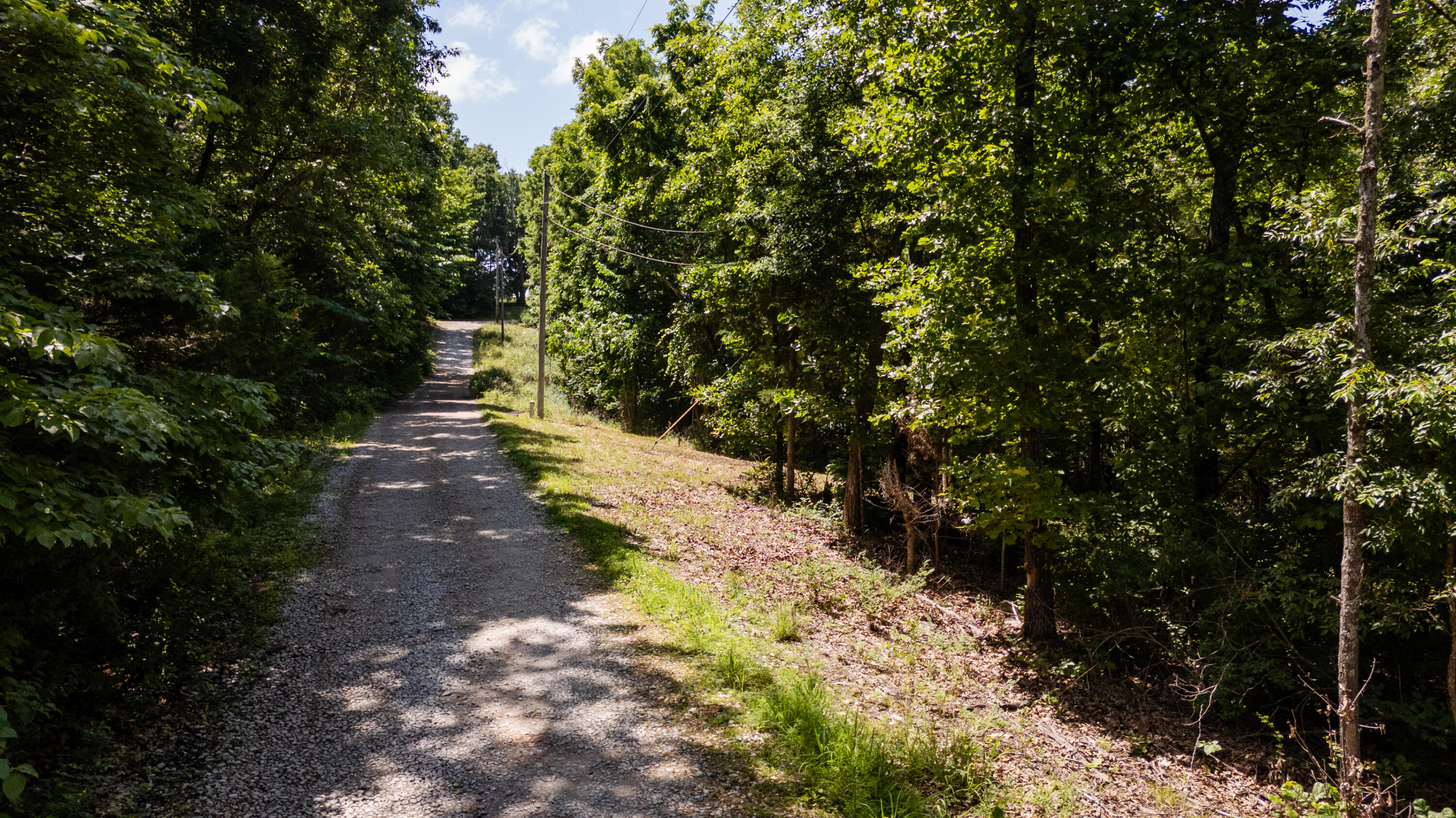 Photo 3 - Land for sale – 1326  Sassafras Lane  Nixa, MO