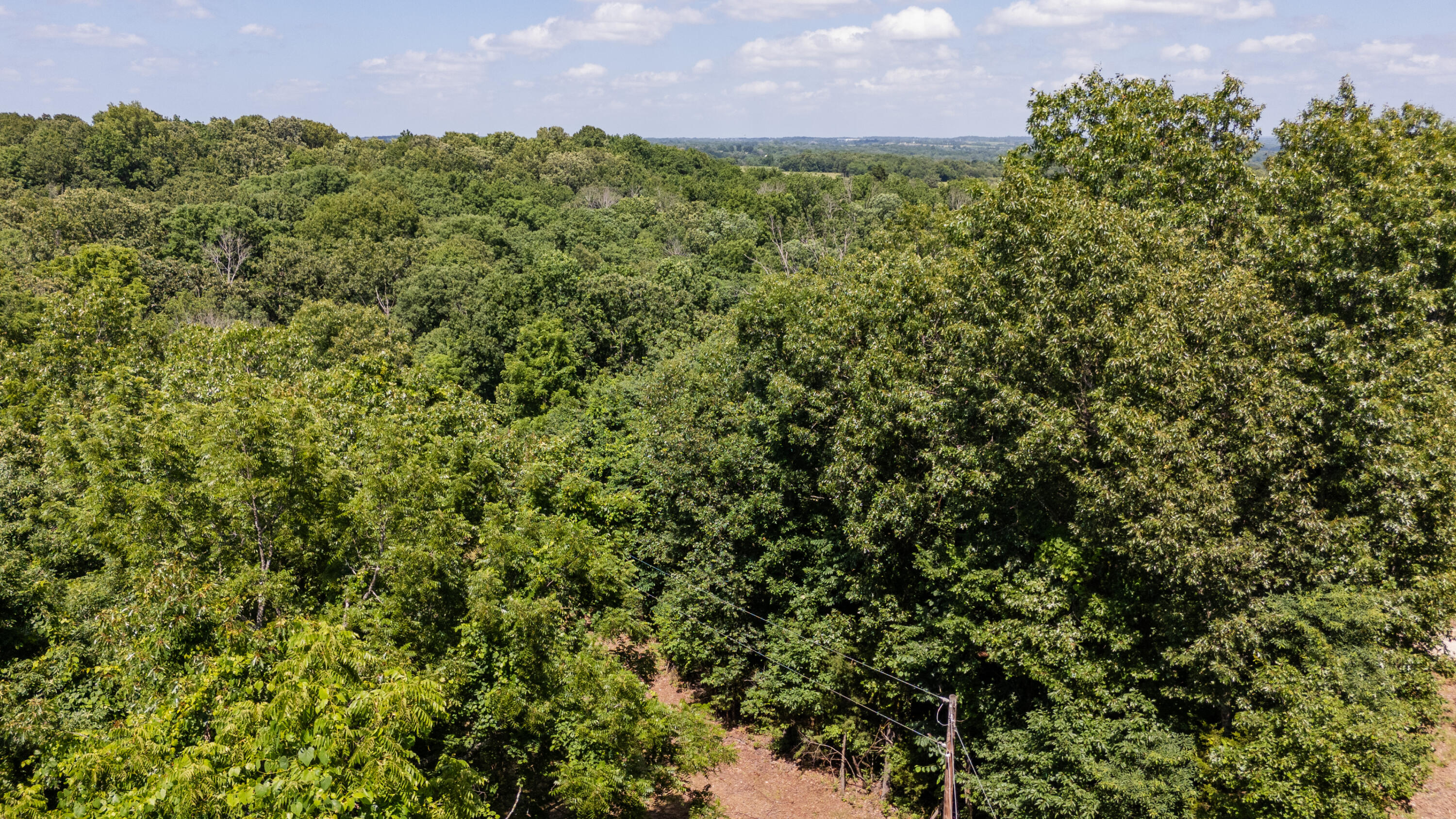 Photo 25 - Land for sale – 1326  Sassafras Lane  Nixa, MO