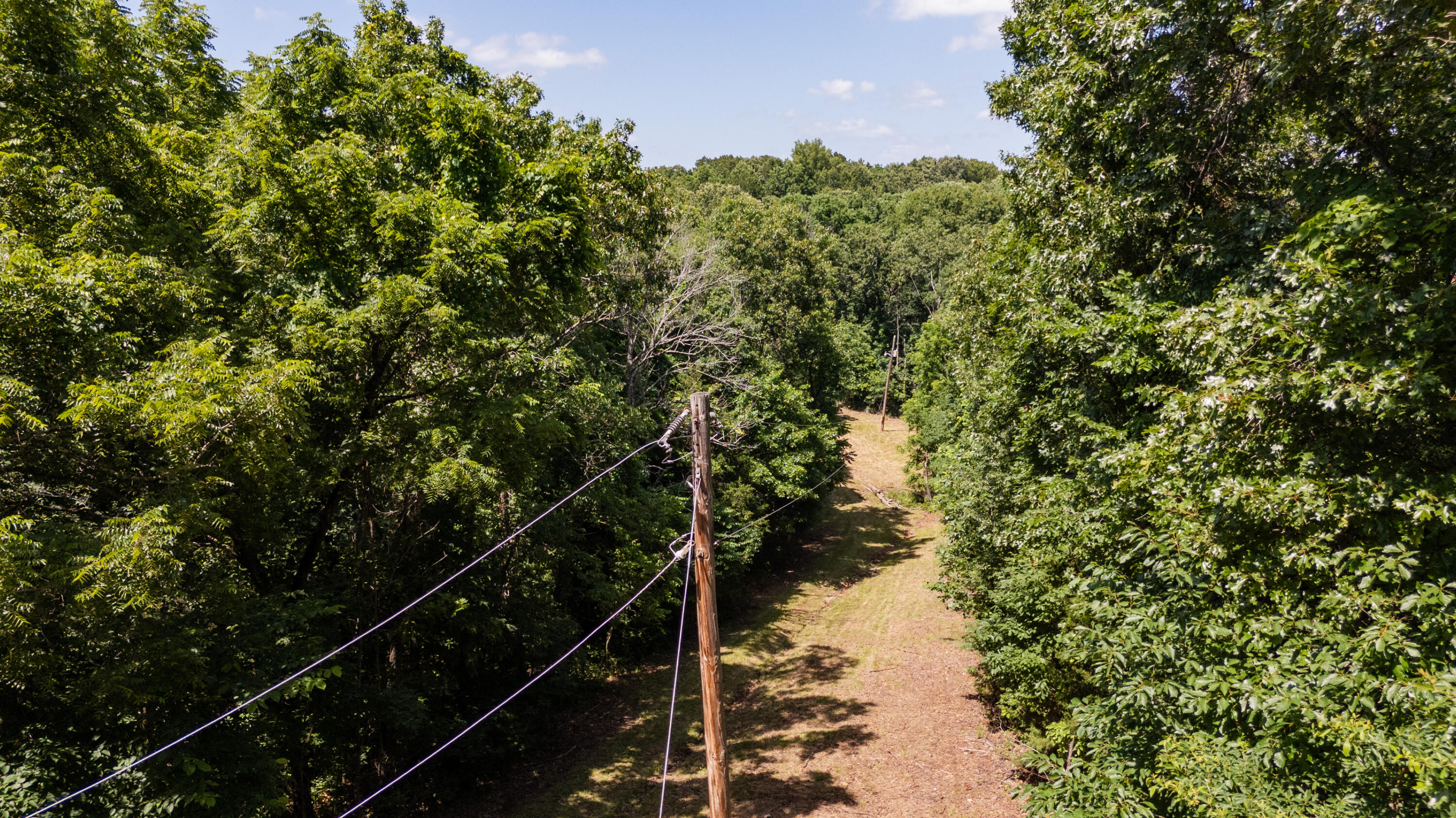Photo 5 - Land for sale – 1326  Sassafras Lane  Nixa, MO