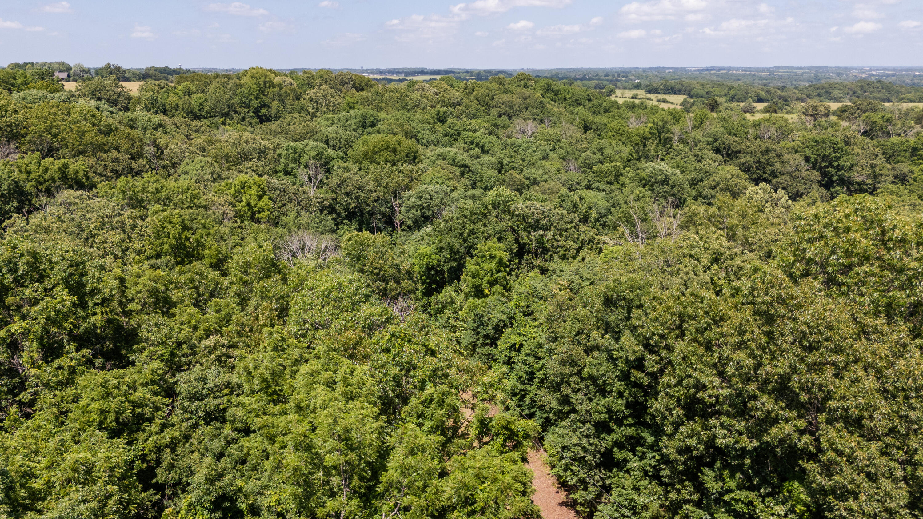 Photo 26 - Land for sale – 1326  Sassafras Lane  Nixa, MO