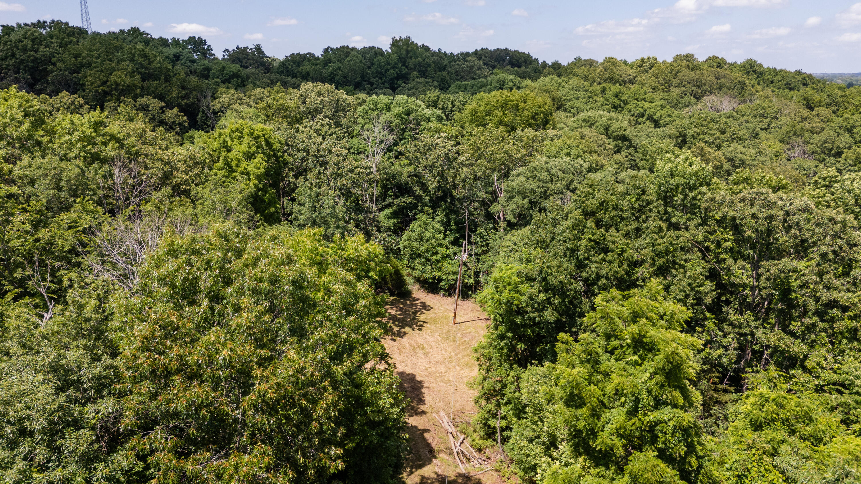 Photo 4 - Land for sale – 1326  Sassafras Lane  Nixa, MO