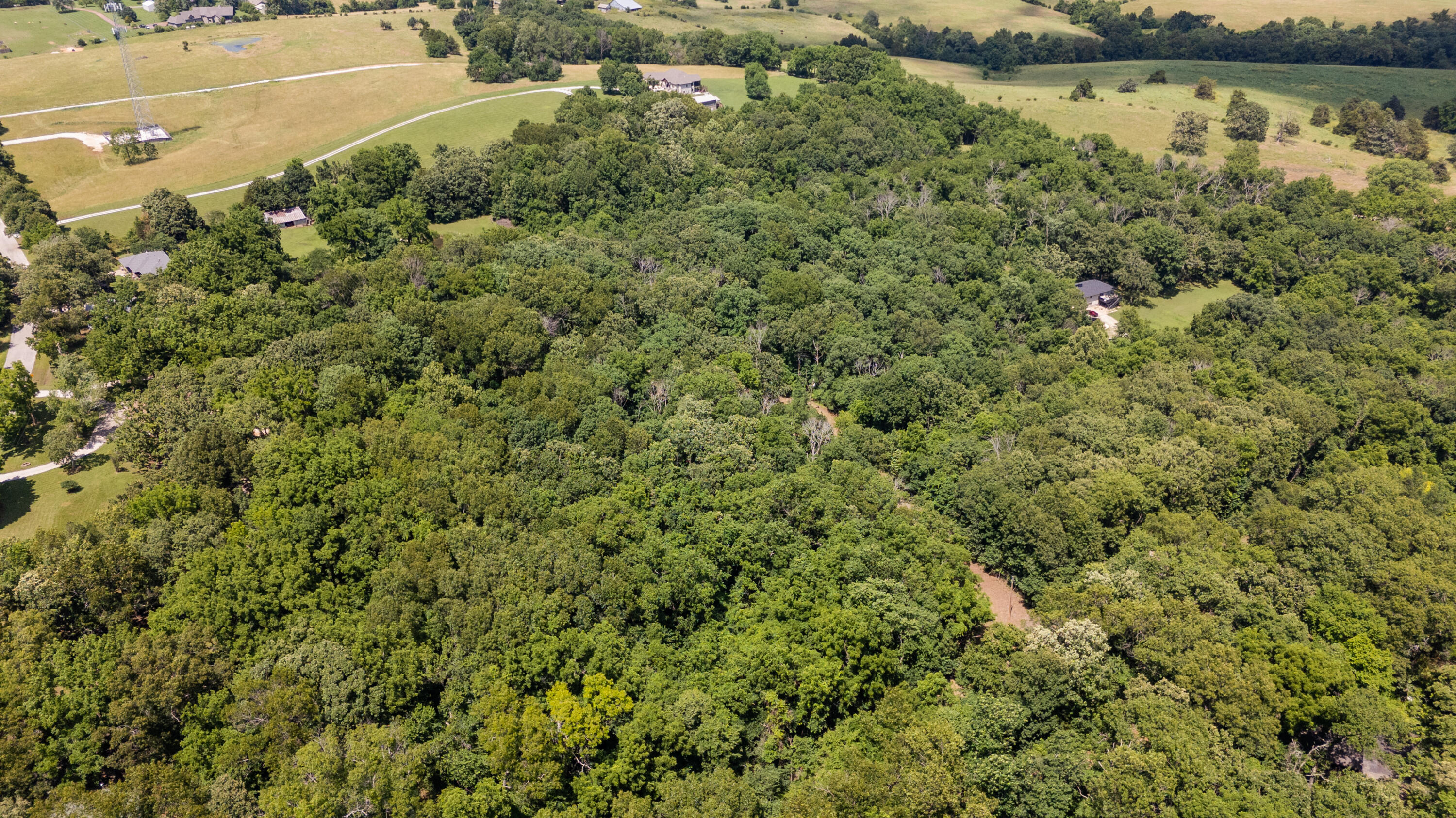 Photo 8 - Land for sale – 1326  Sassafras Lane  Nixa, MO