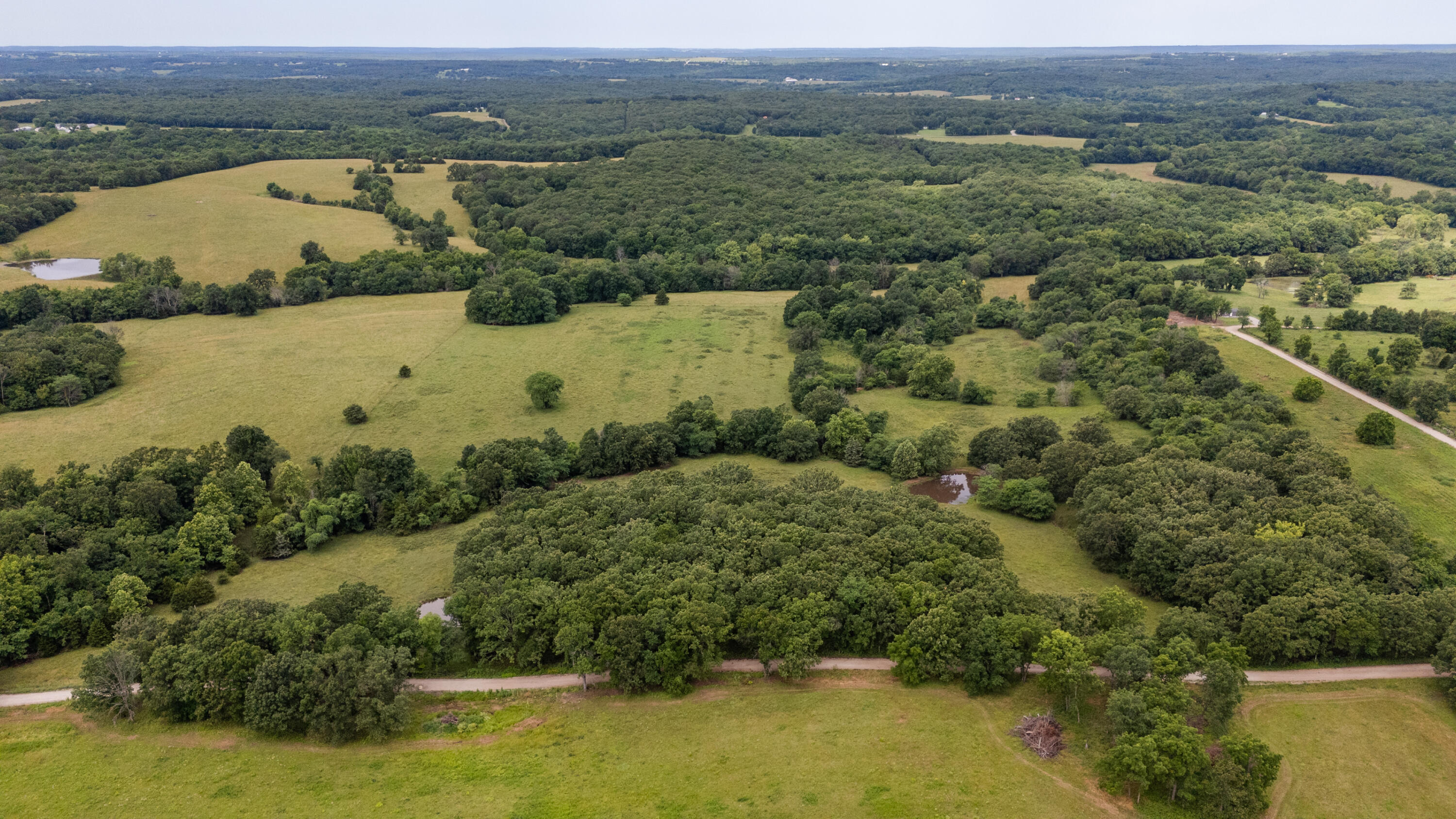 Photo 30 - Land for sale – 00 S 220th Road  Halfway, MO