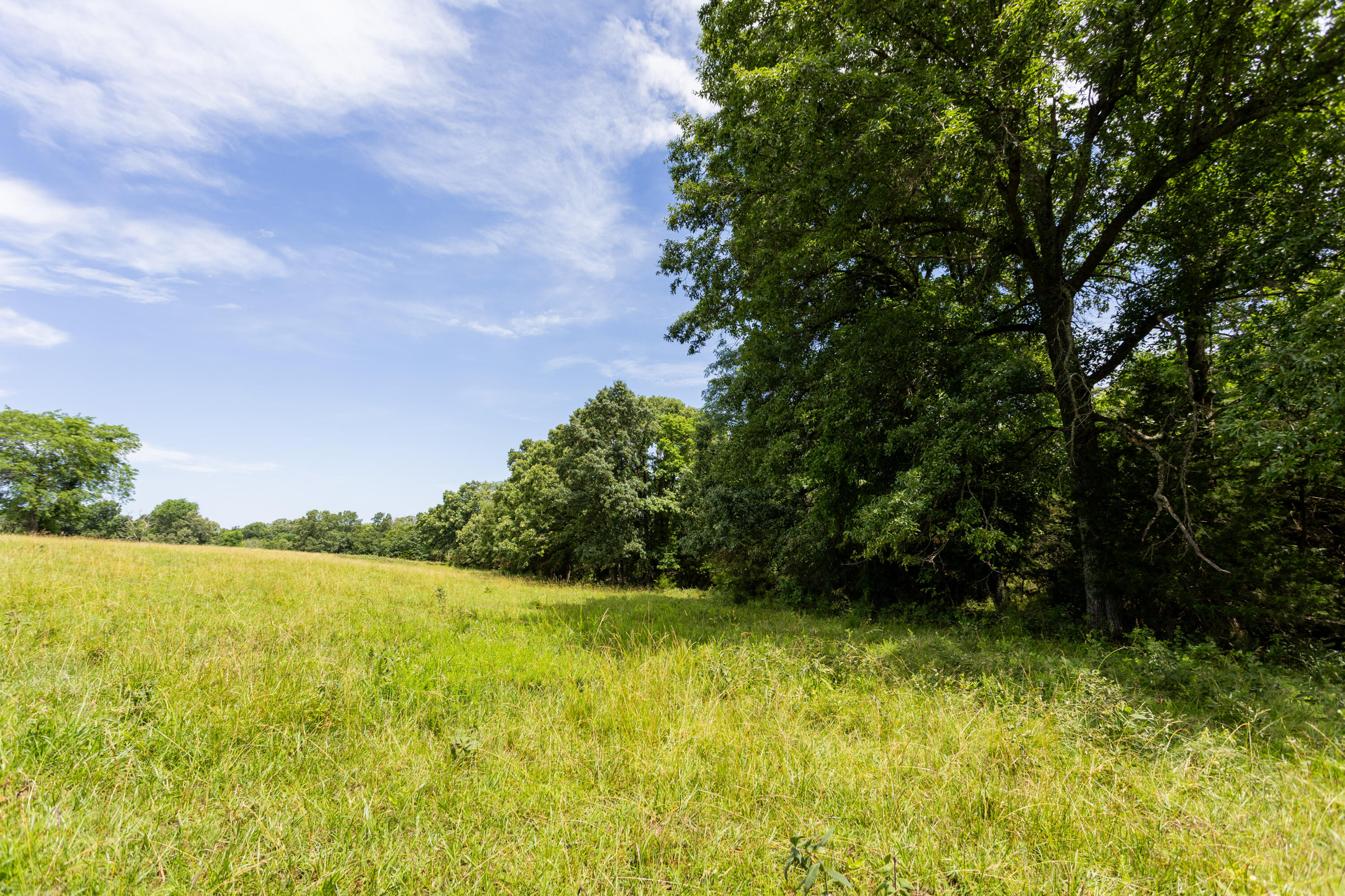 Photo 43 - Land for sale – 00 S 220th Road  Halfway, MO