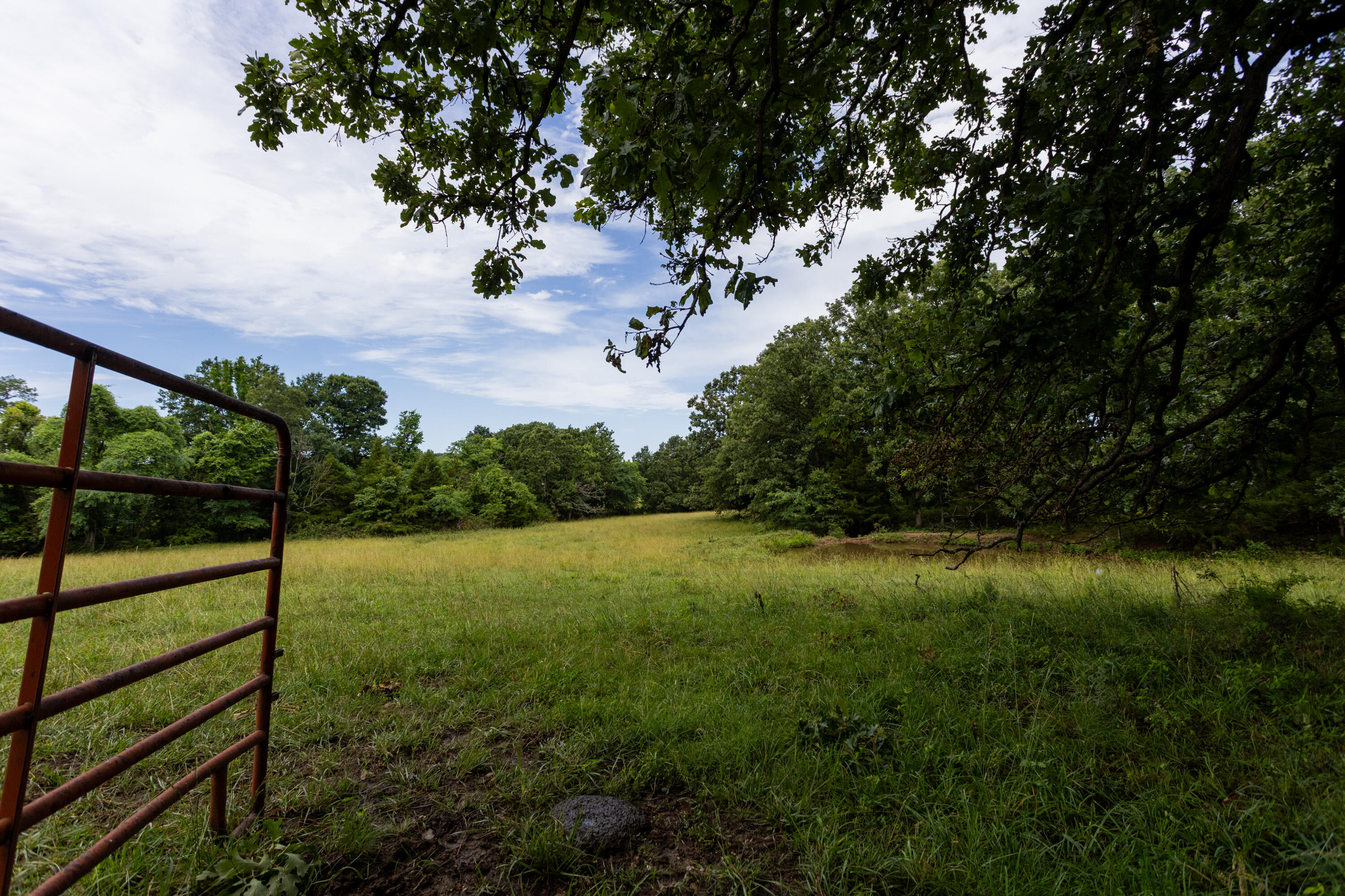 Photo 3 - Land for sale – 00 S 220th Road  Halfway, MO