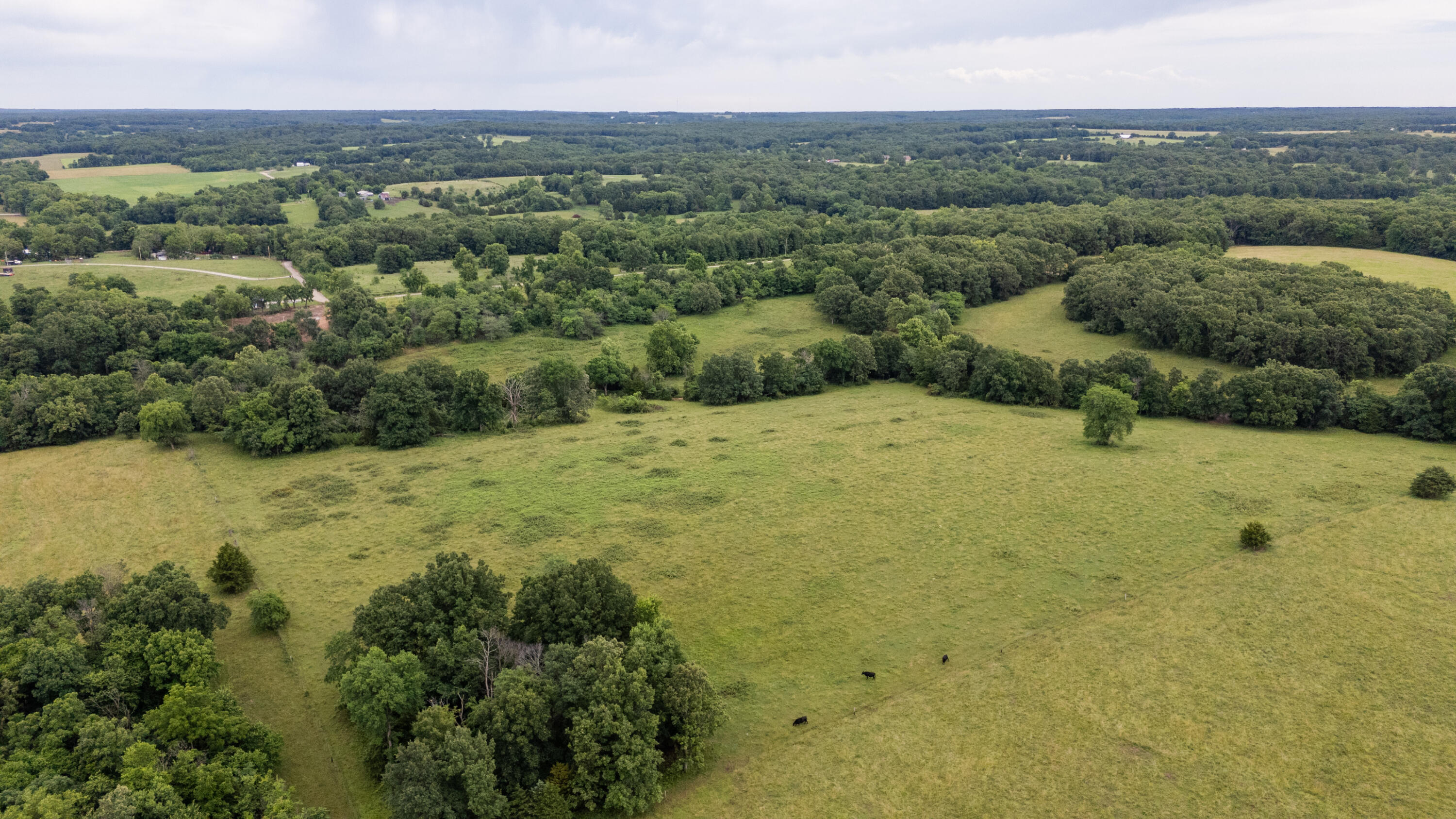 Photo 14 - Land for sale – 00 S 220th Road  Halfway, MO