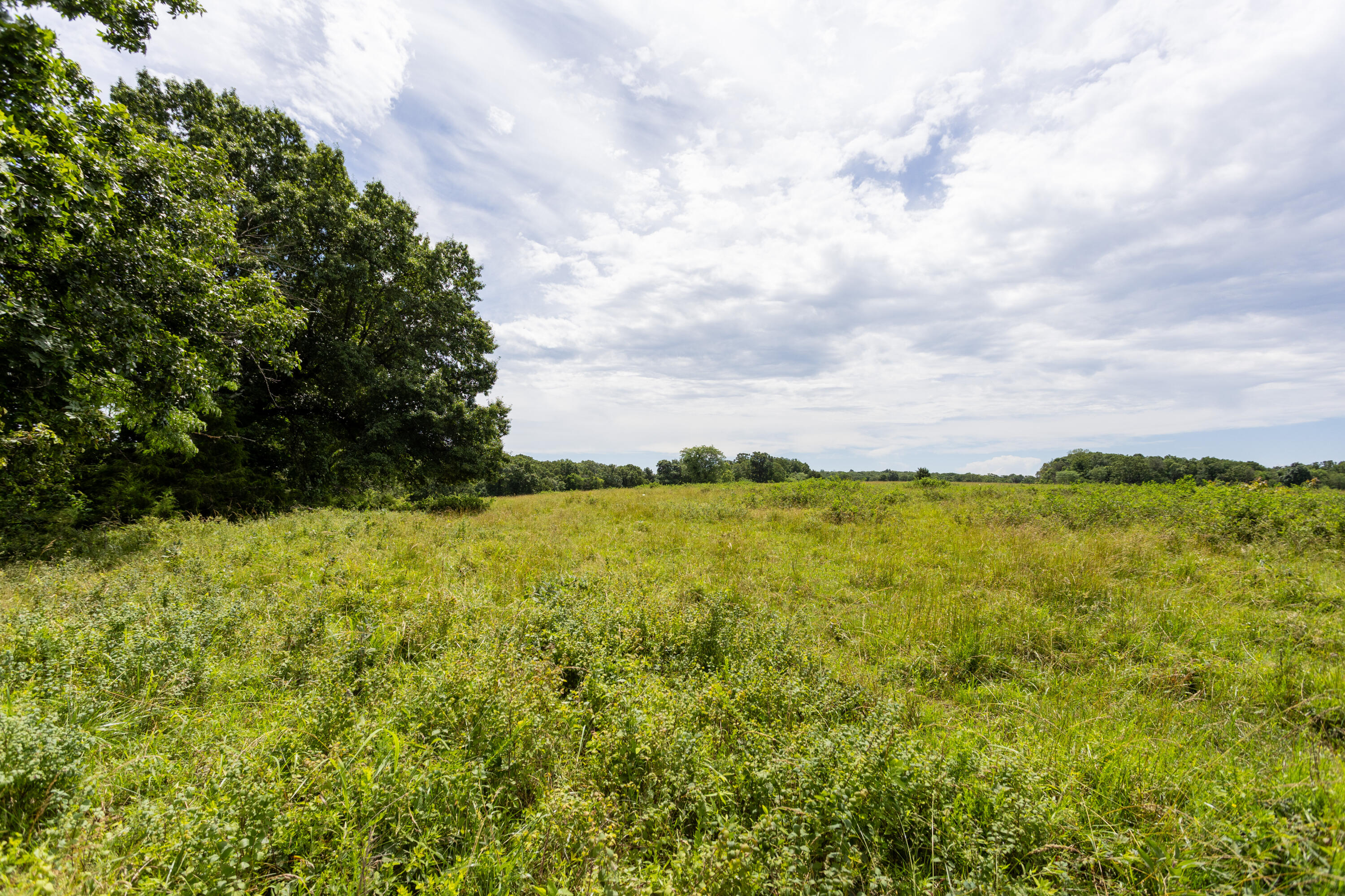 Photo 46 - Land for sale – 00 S 220th Road  Halfway, MO