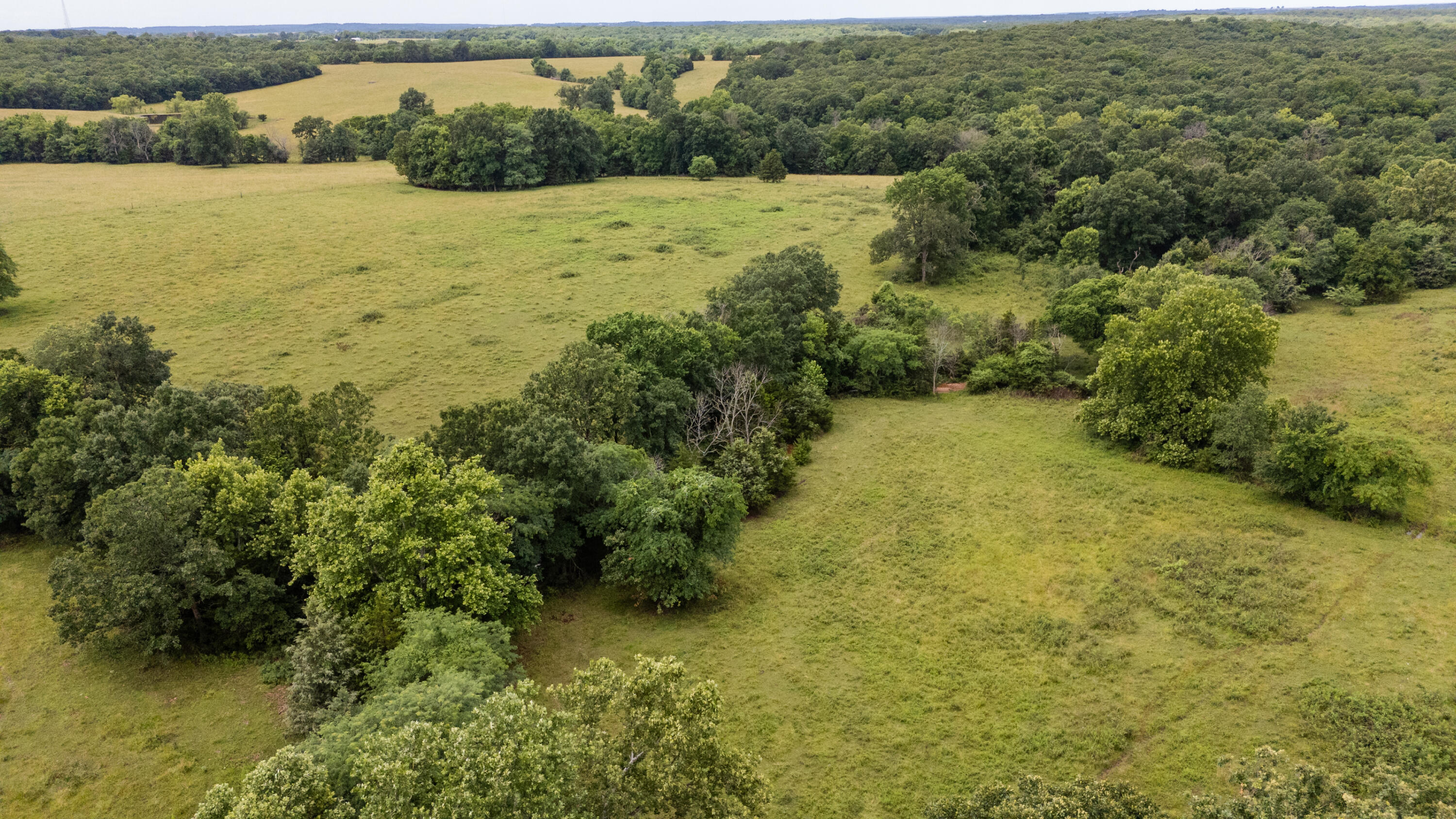 Photo 22 - Land for sale – 00 S 220th Road  Halfway, MO