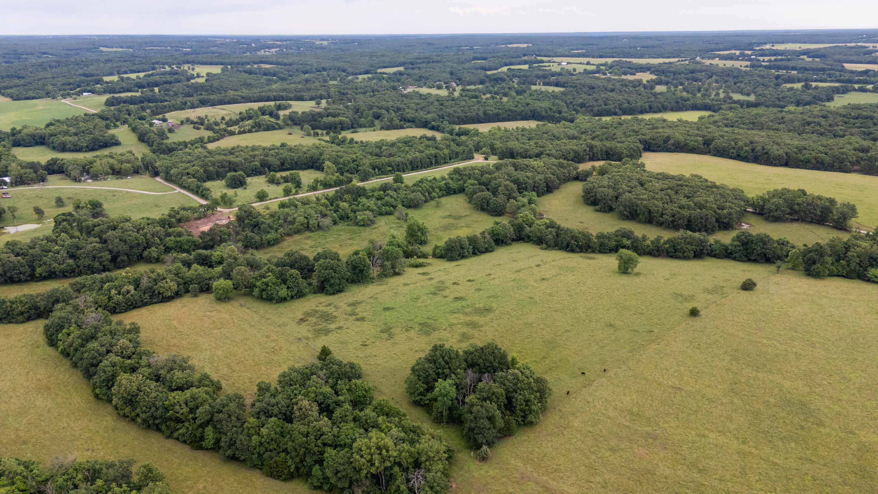 Photo 15 - Land for sale – 00 S 220th Road  Halfway, MO