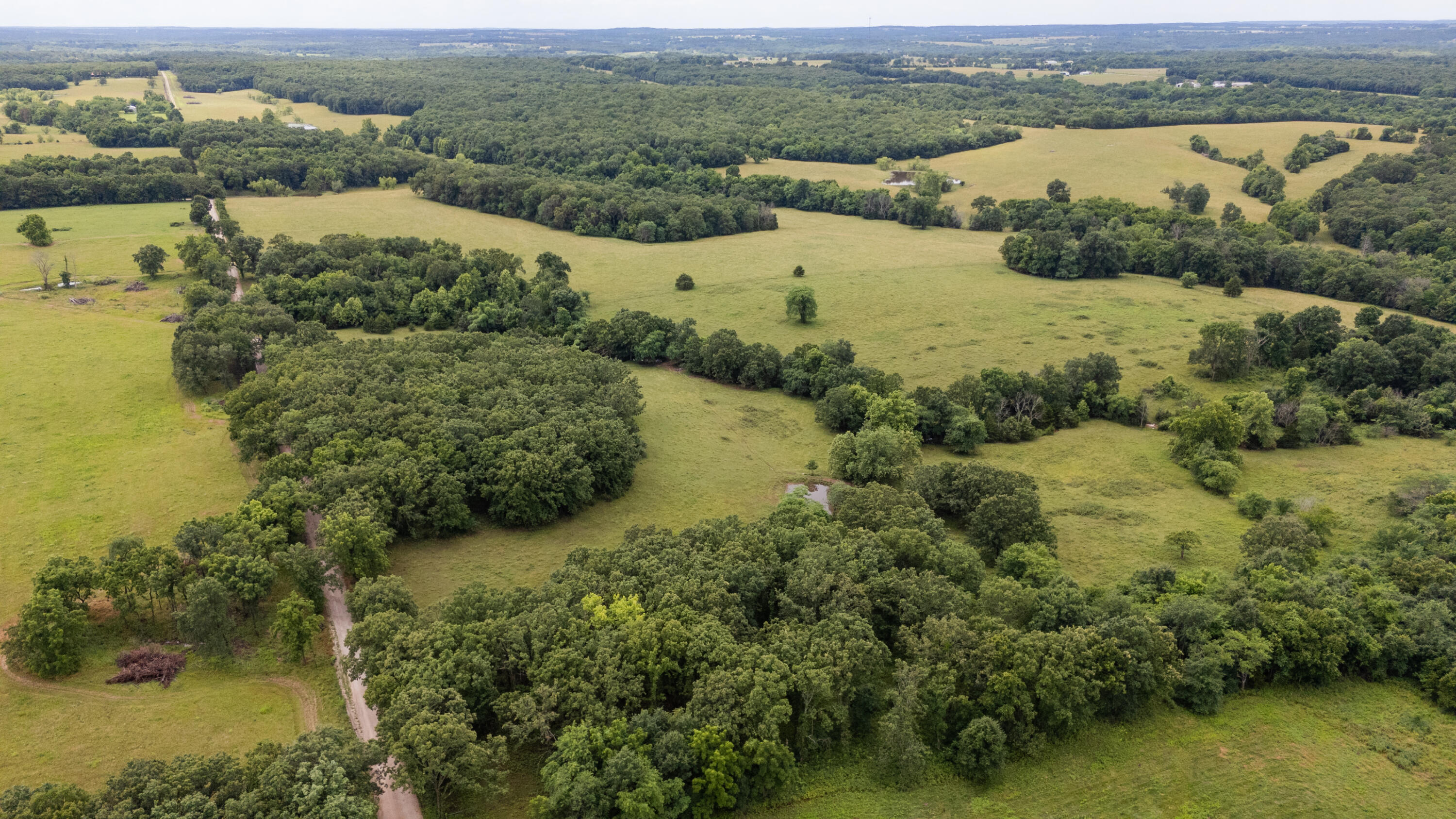 Photo 19 - Land for sale – 00 S 220th Road  Halfway, MO