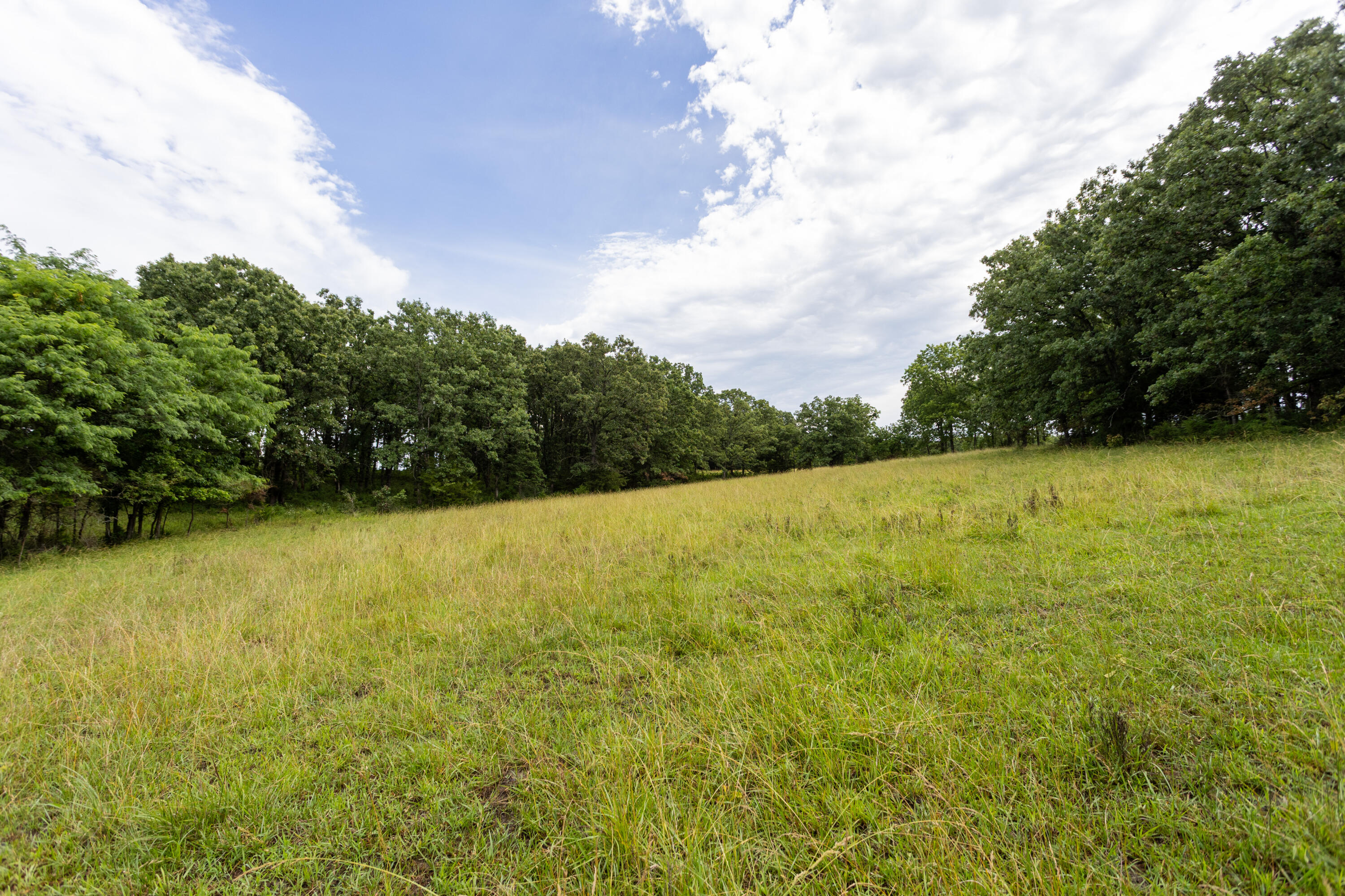 Photo 33 - Land for sale – 00 S 220th Road  Halfway, MO