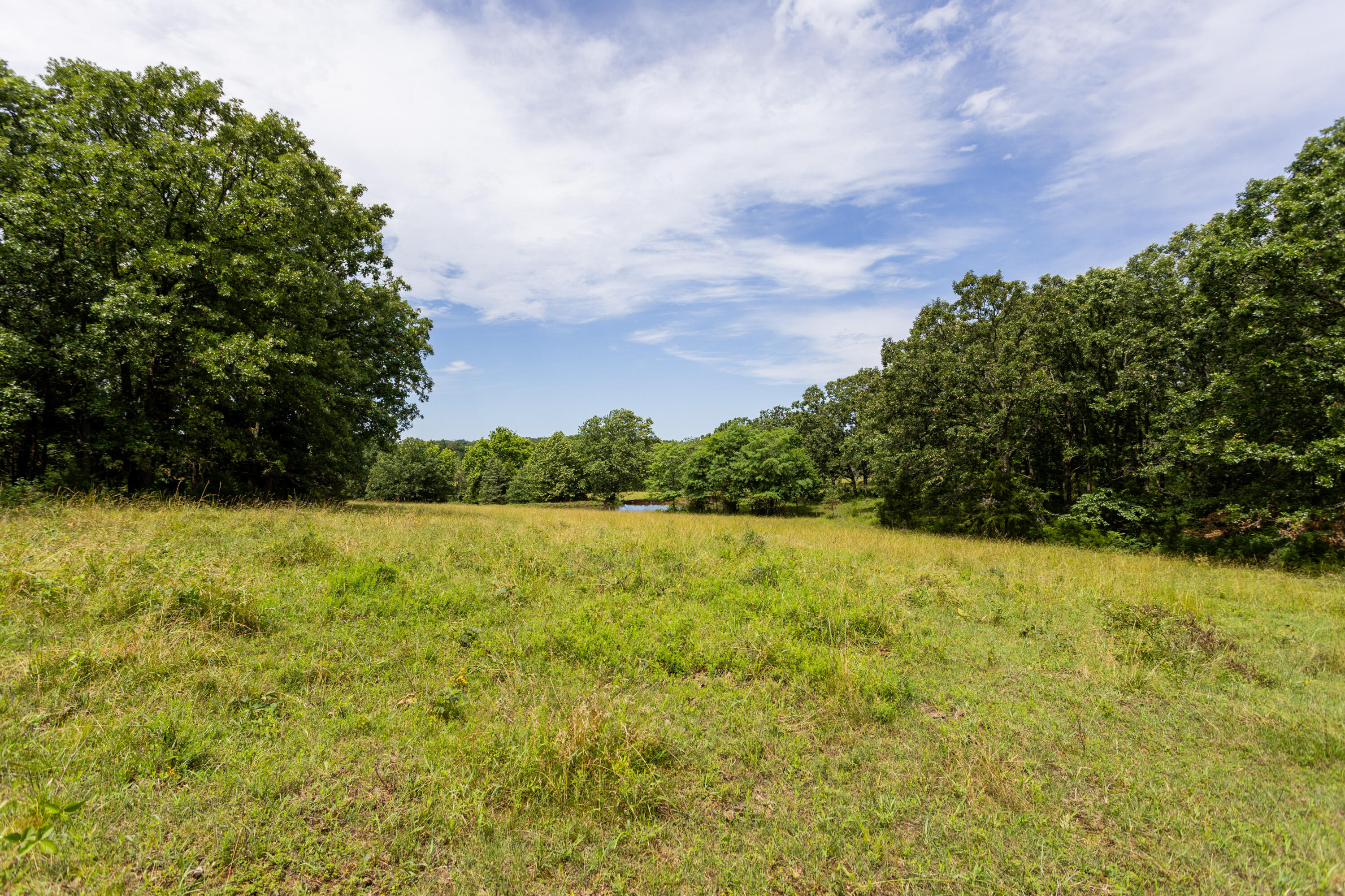 Photo 34 - Land for sale – 00 S 220th Road  Halfway, MO
