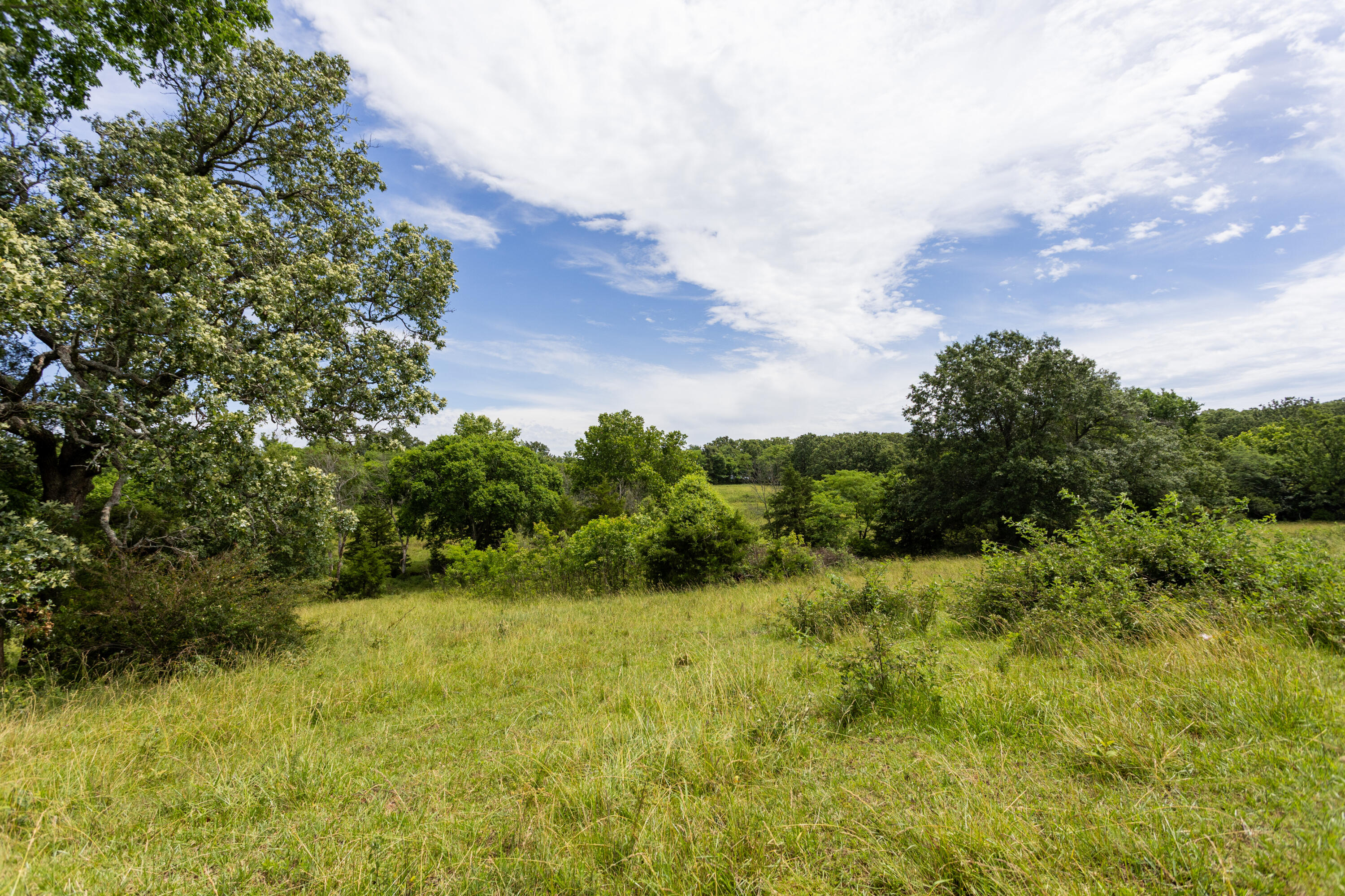 Photo 47 - Land for sale – 00 S 220th Road  Halfway, MO