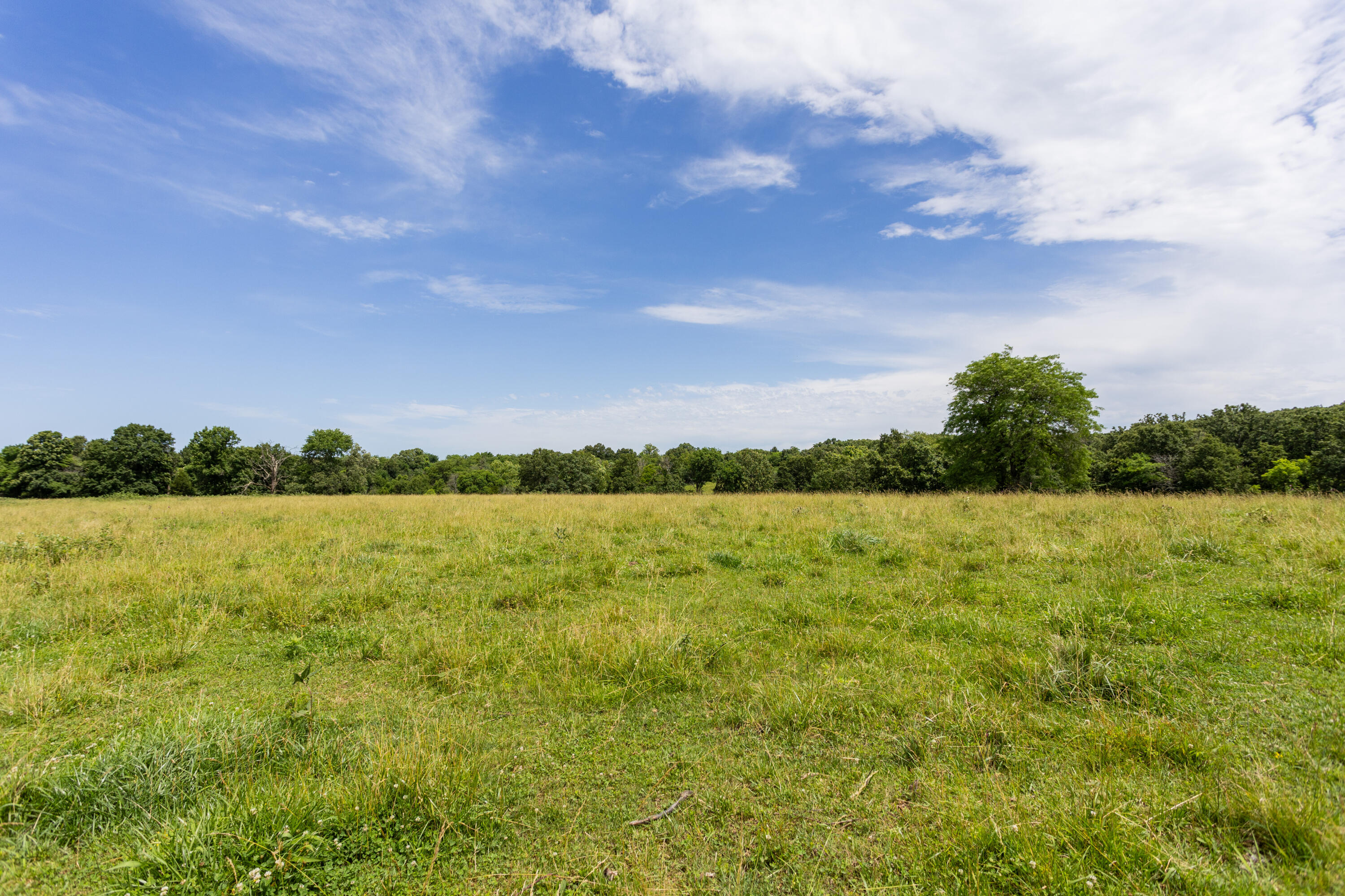 Photo 45 - Land for sale – 00 S 220th Road  Halfway, MO