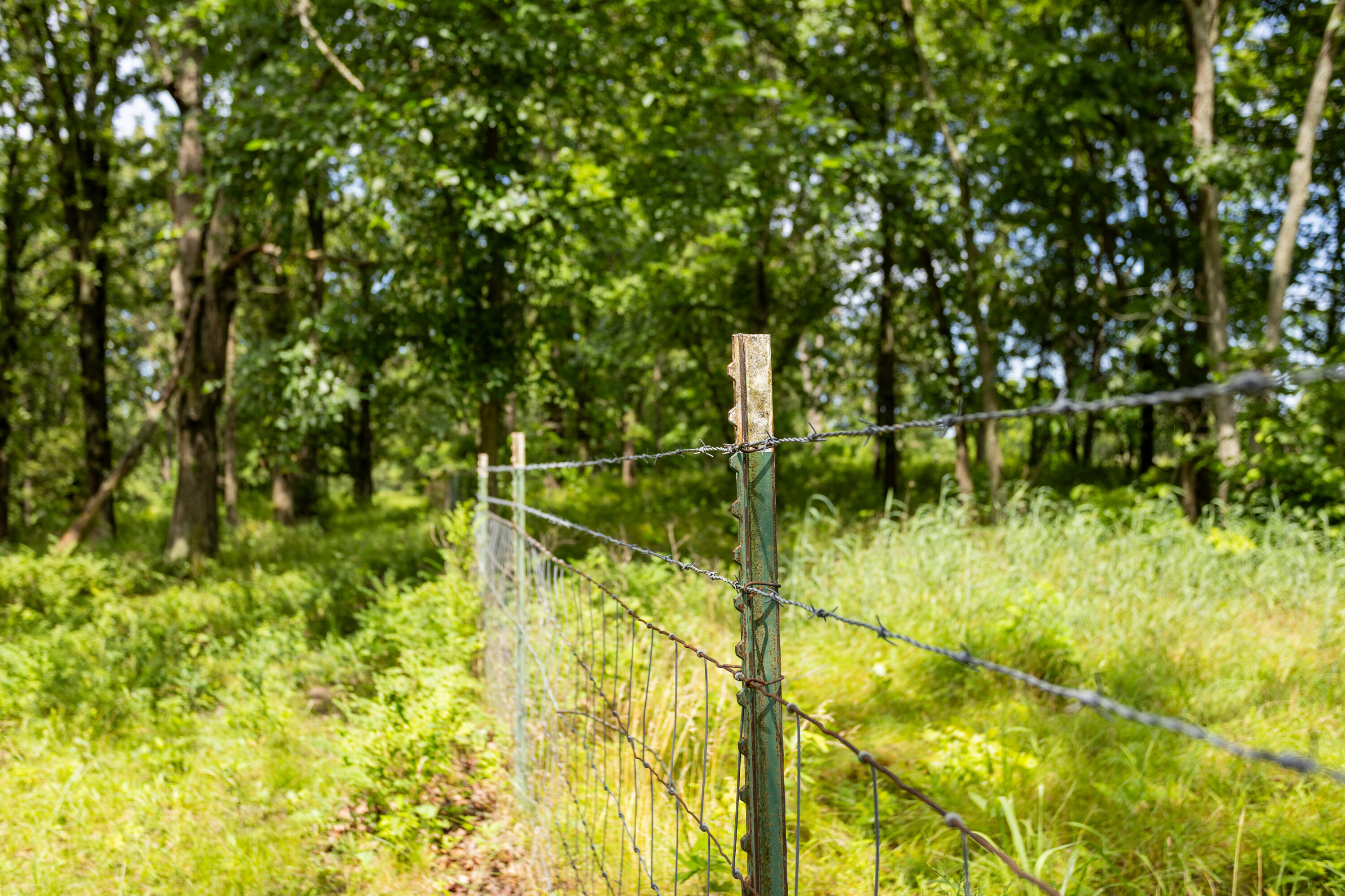 Photo 37 - Land for sale – 00 S 220th Road  Halfway, MO