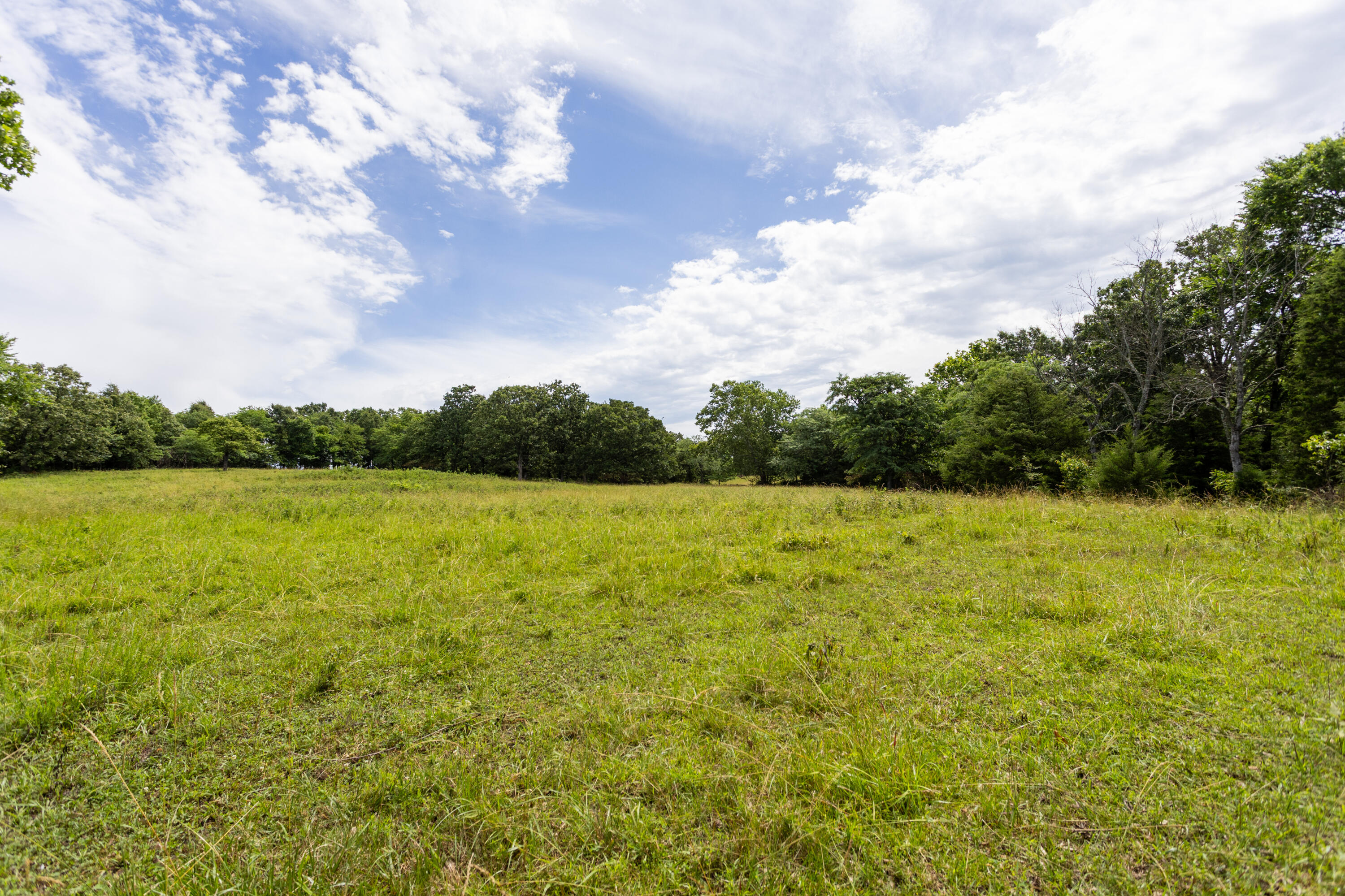 Photo 40 - Land for sale – 00 S 220th Road  Halfway, MO