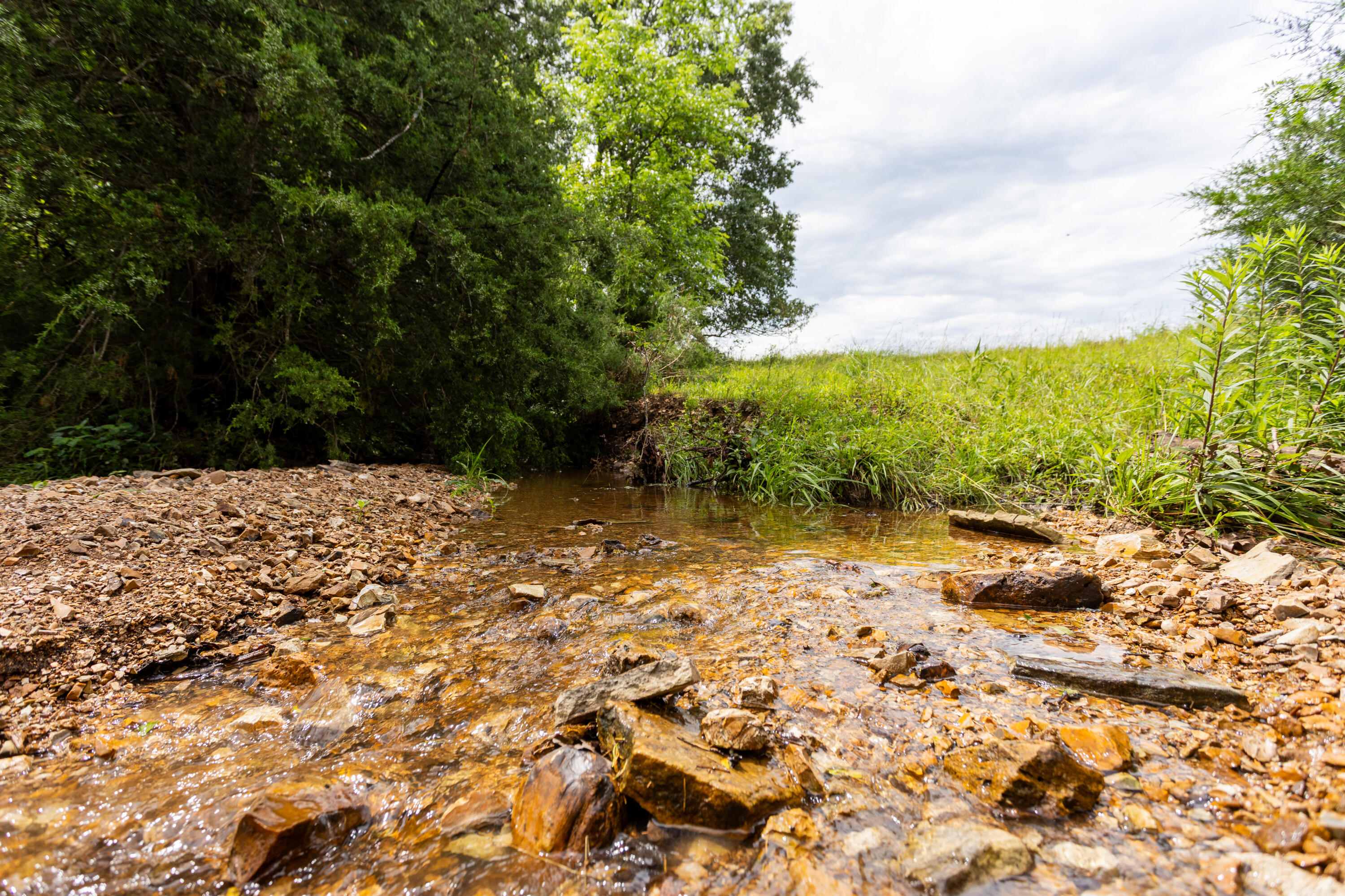 Photo 11 - Land for sale – 00 S 220th Road  Halfway, MO