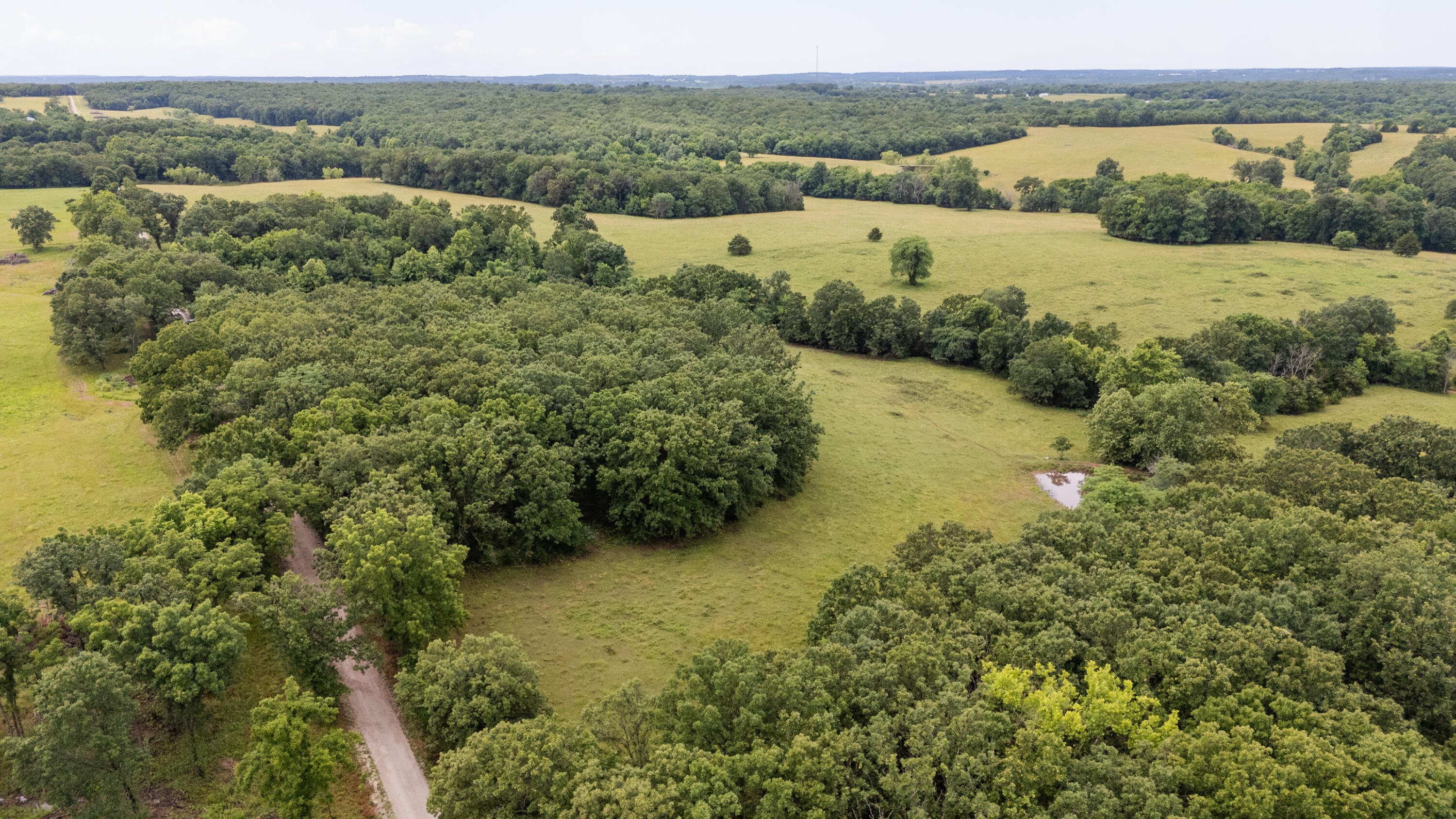 Photo 6 - Land for sale – 00 S 220th Road  Halfway, MO
