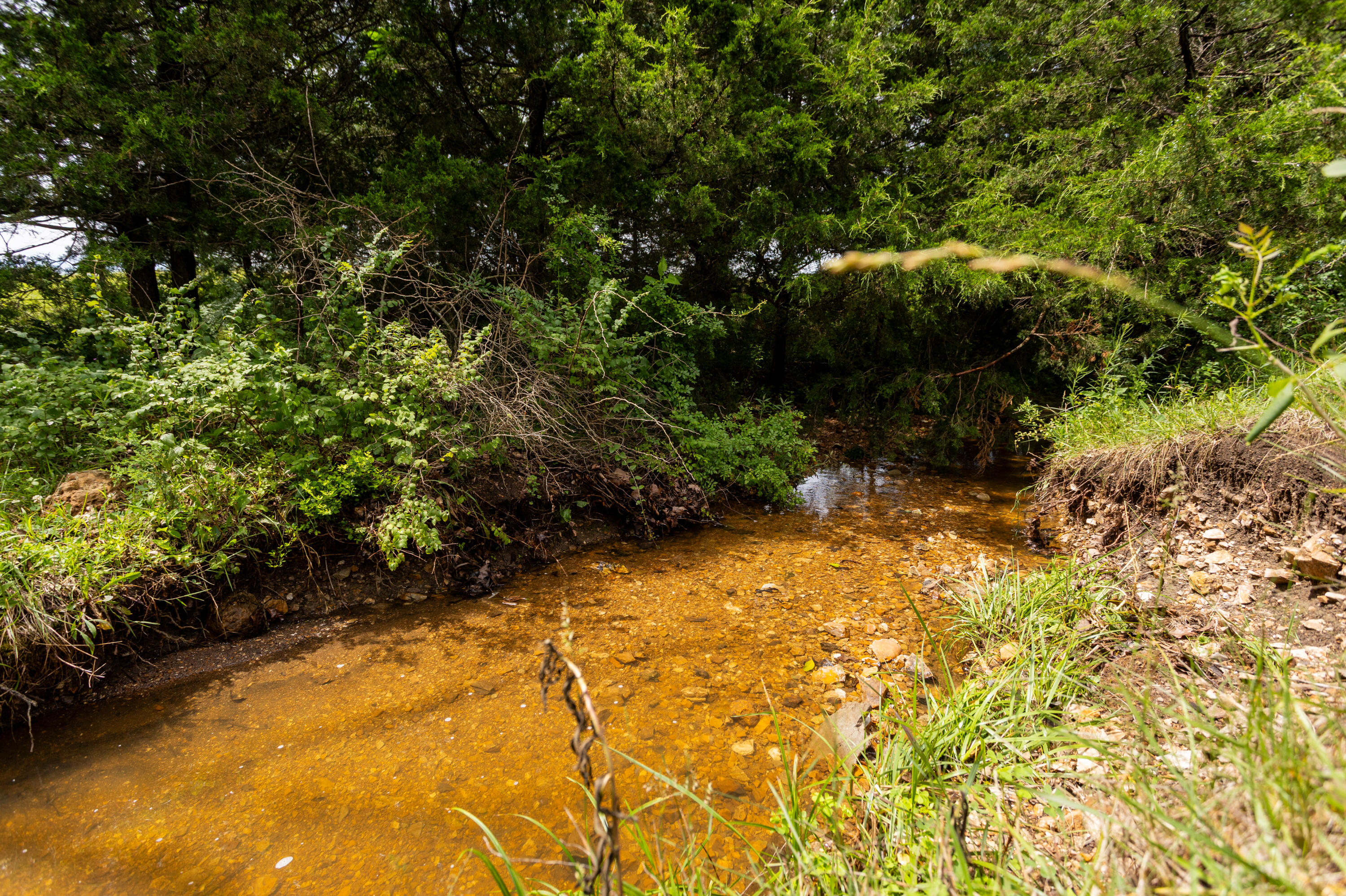 Photo 41 - Land for sale – 00 S 220th Road  Halfway, MO
