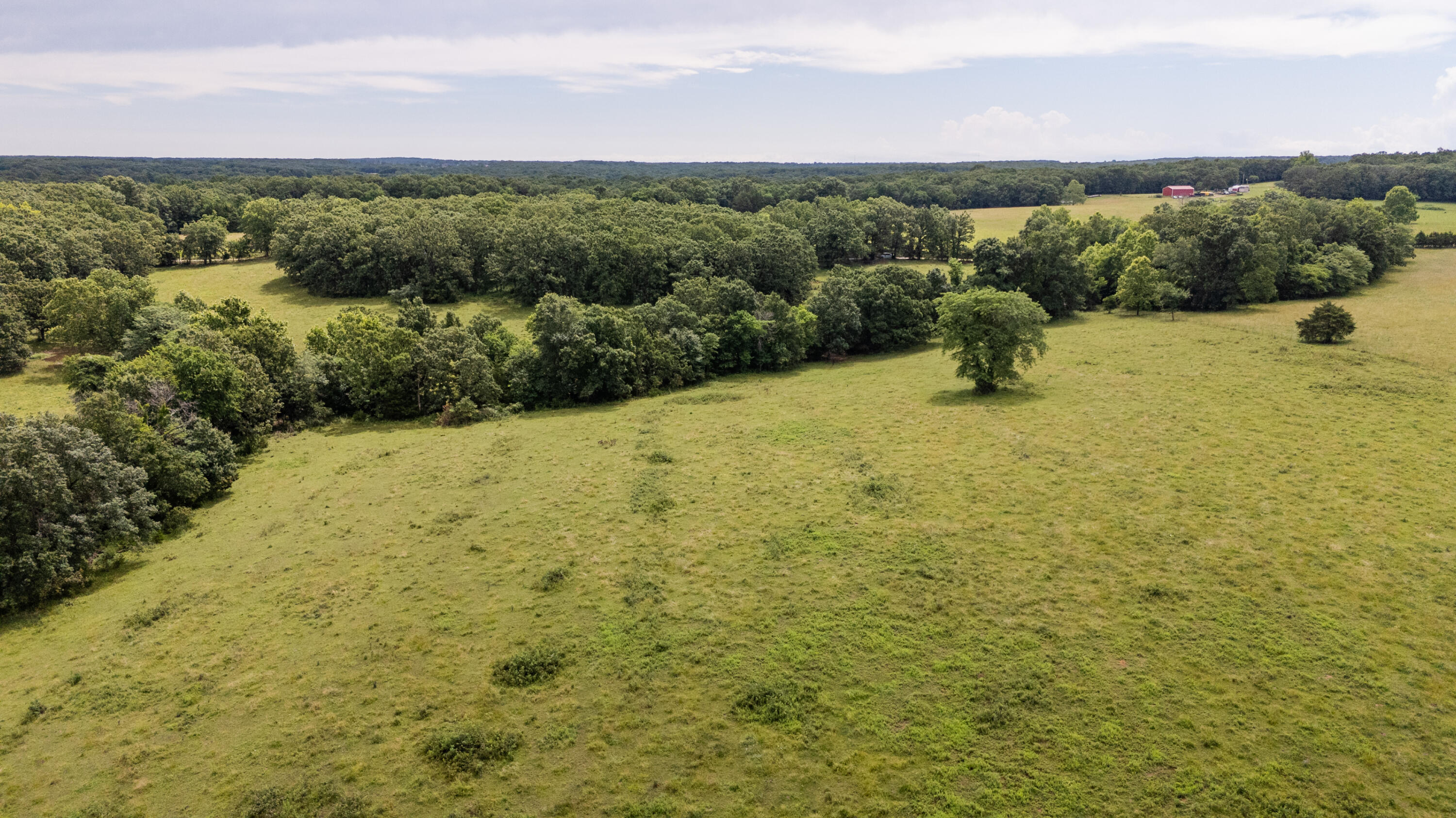 Photo 28 - Land for sale – 00 S 220th Road  Halfway, MO