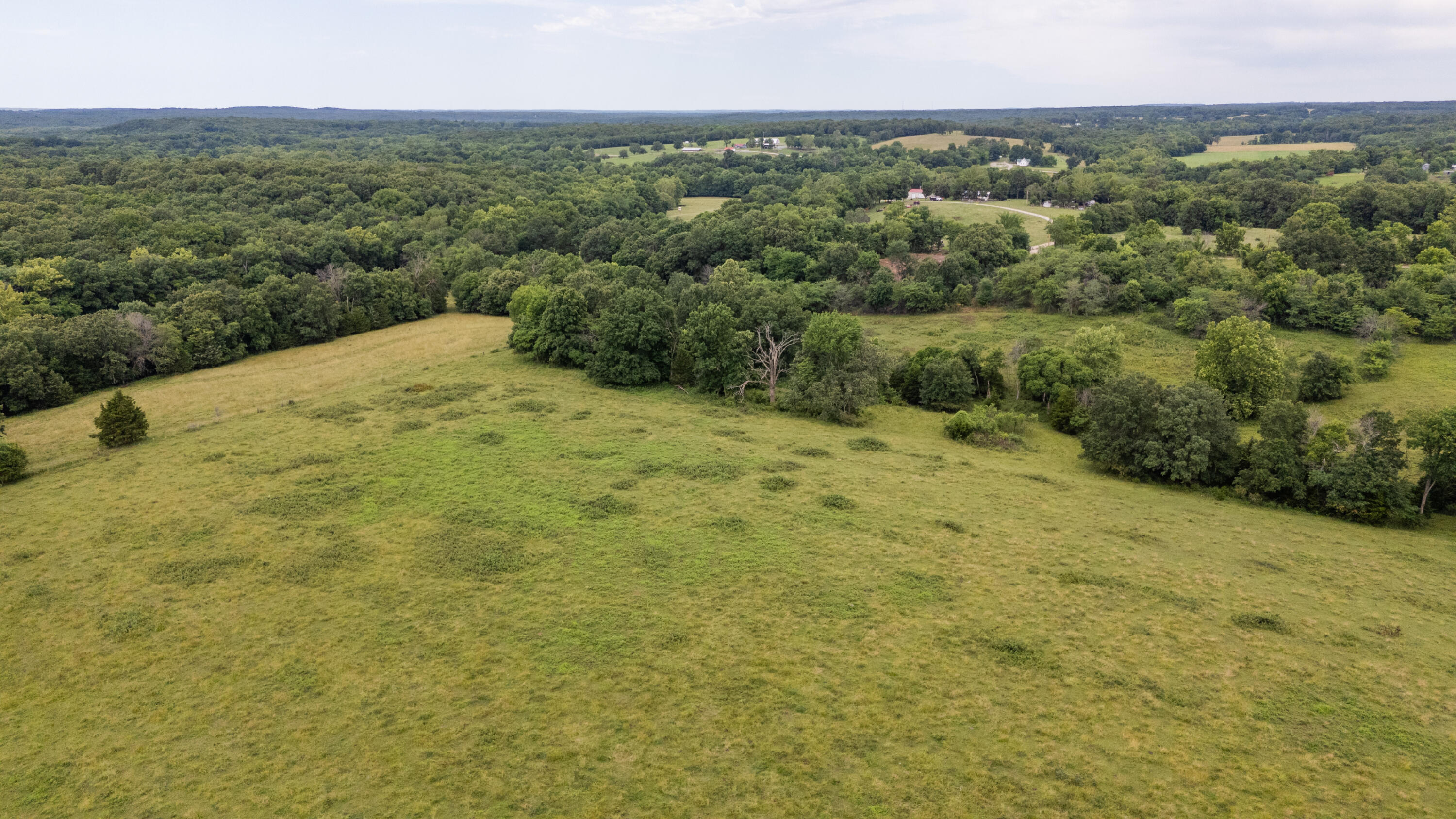 Photo 4 - Land for sale – 00 S 220th Road  Halfway, MO