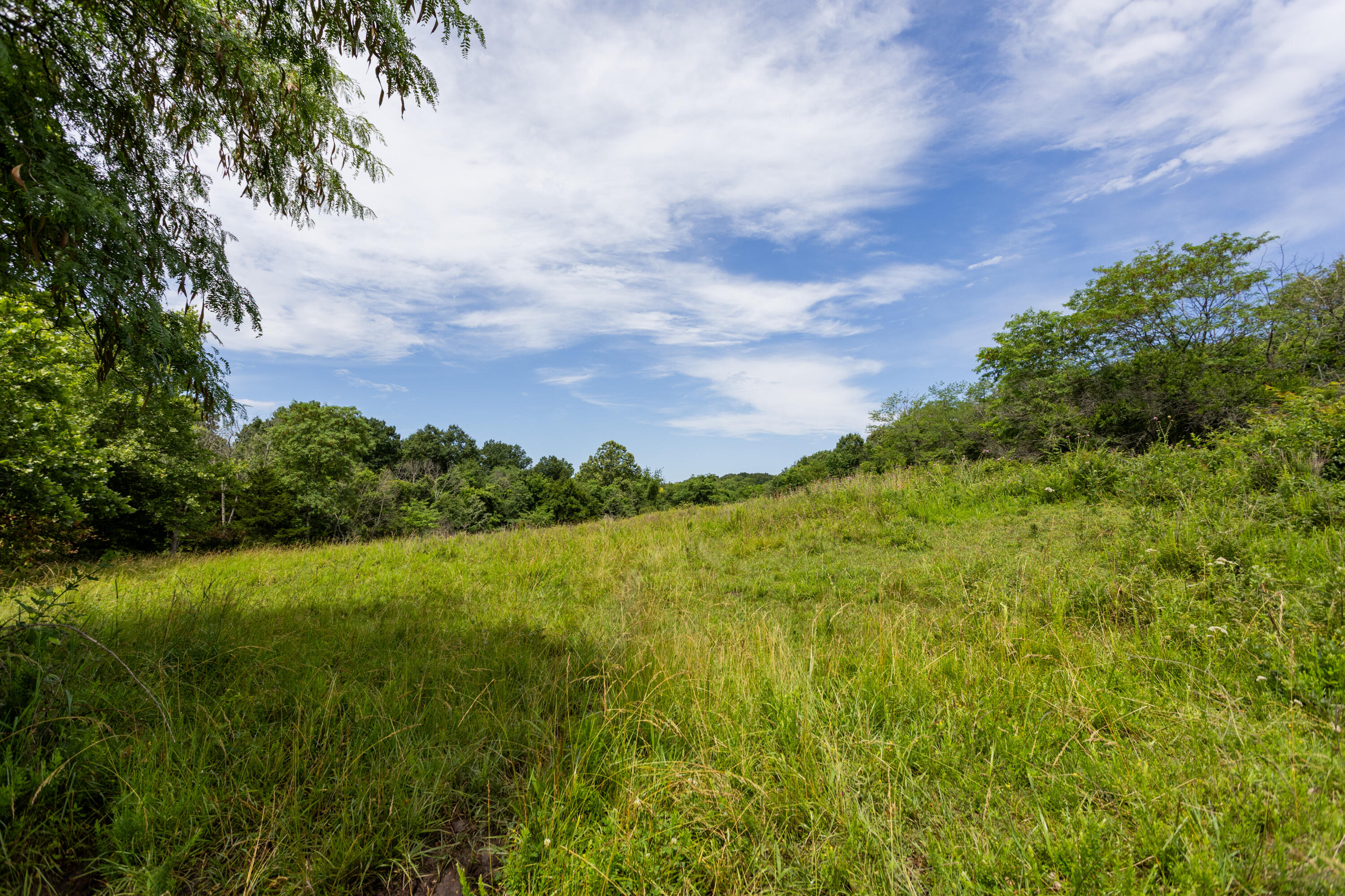 Photo 39 - Land for sale – 00 S 220th Road  Halfway, MO