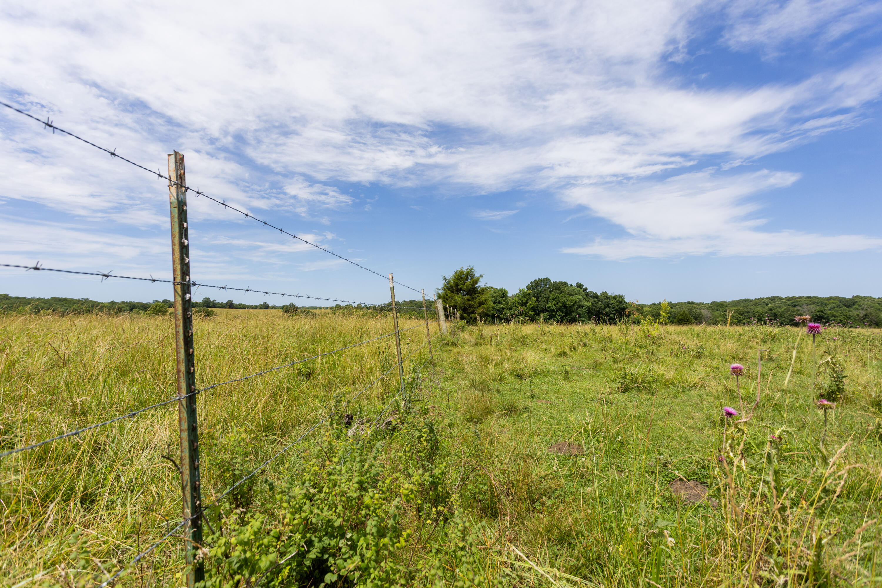 Photo 44 - Land for sale – 00 S 220th Road  Halfway, MO
