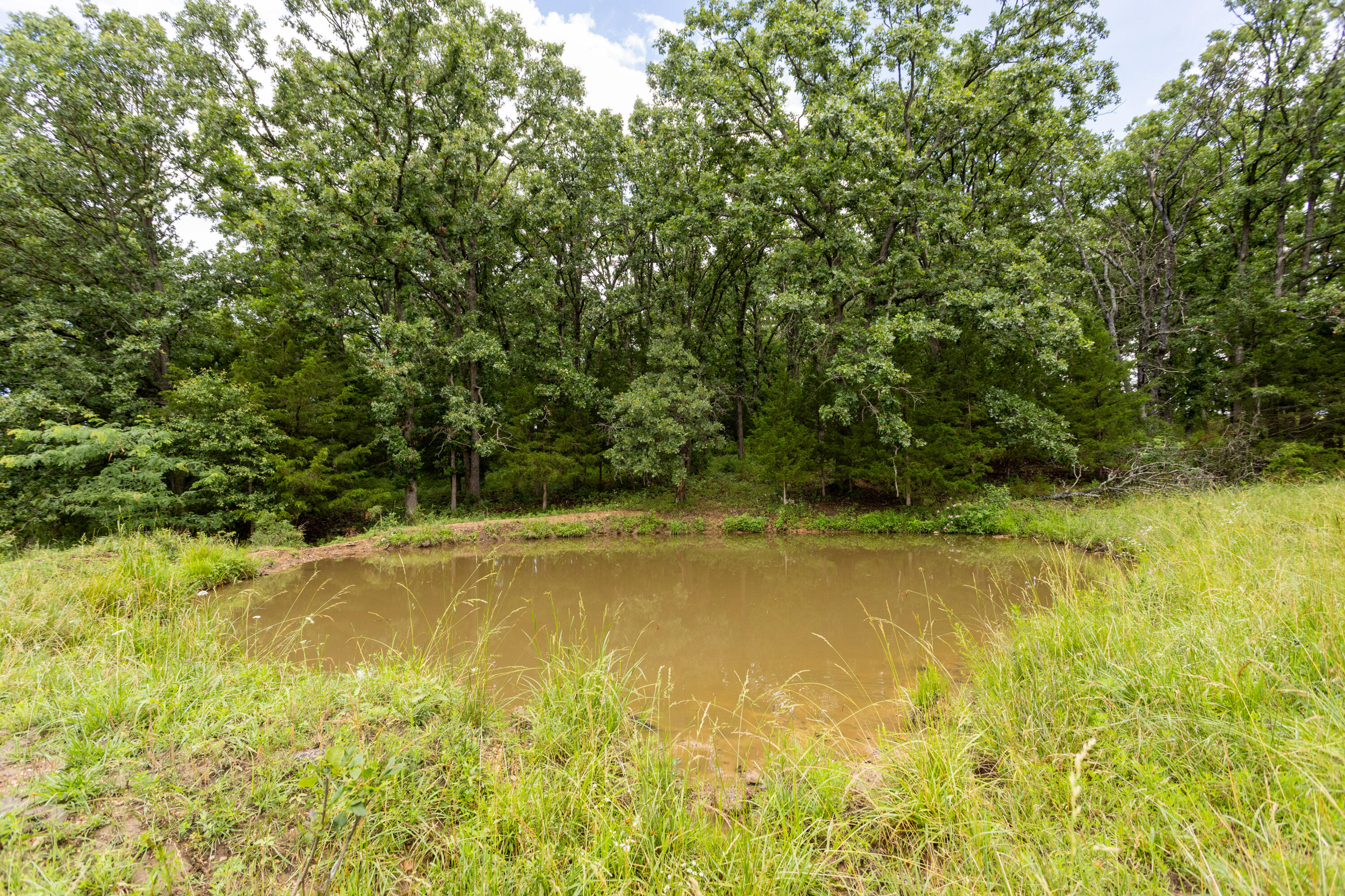Photo 8 - Land for sale – 00 S 220th Road  Halfway, MO